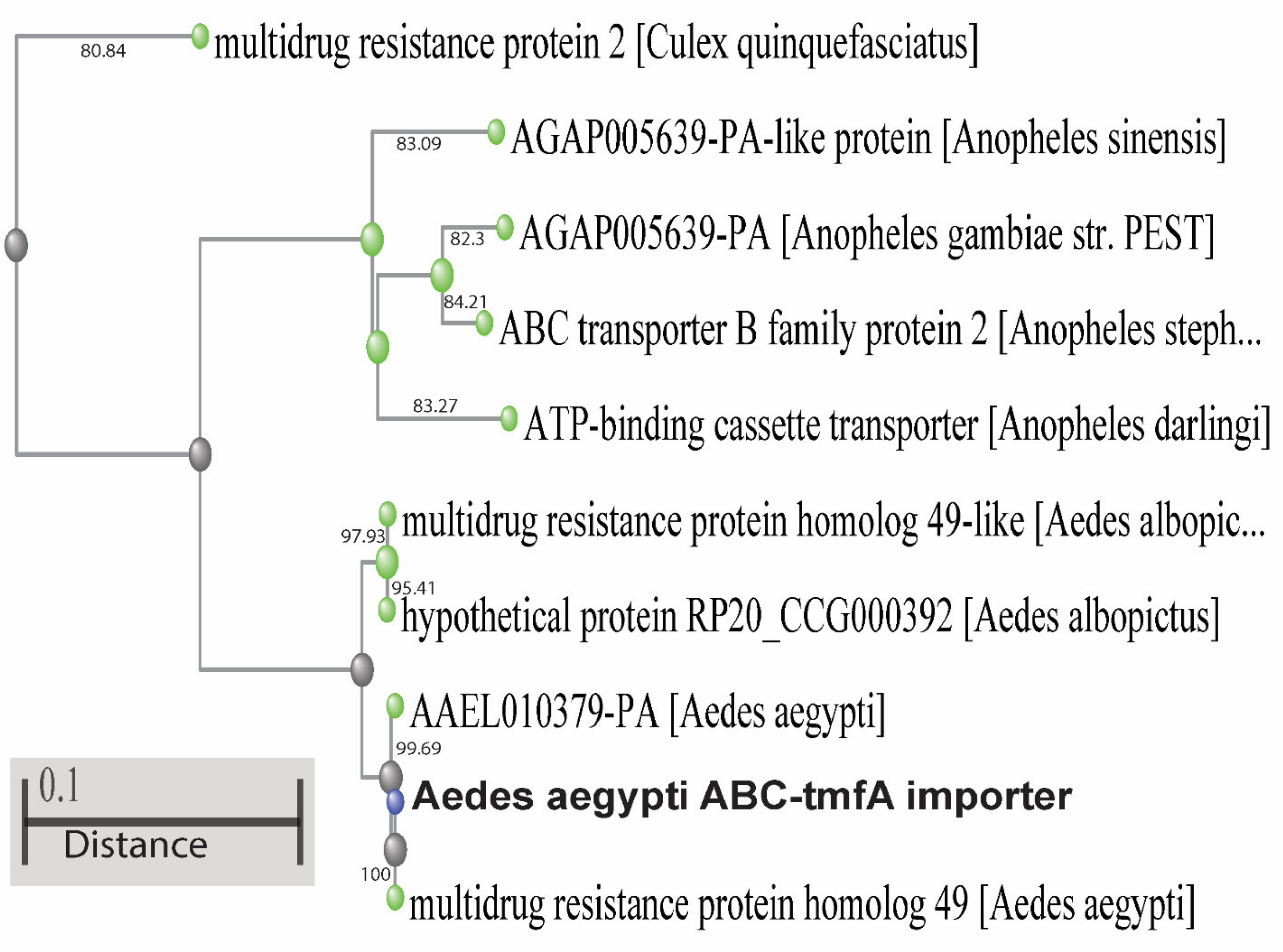 Biomolecules 11 00934 g005