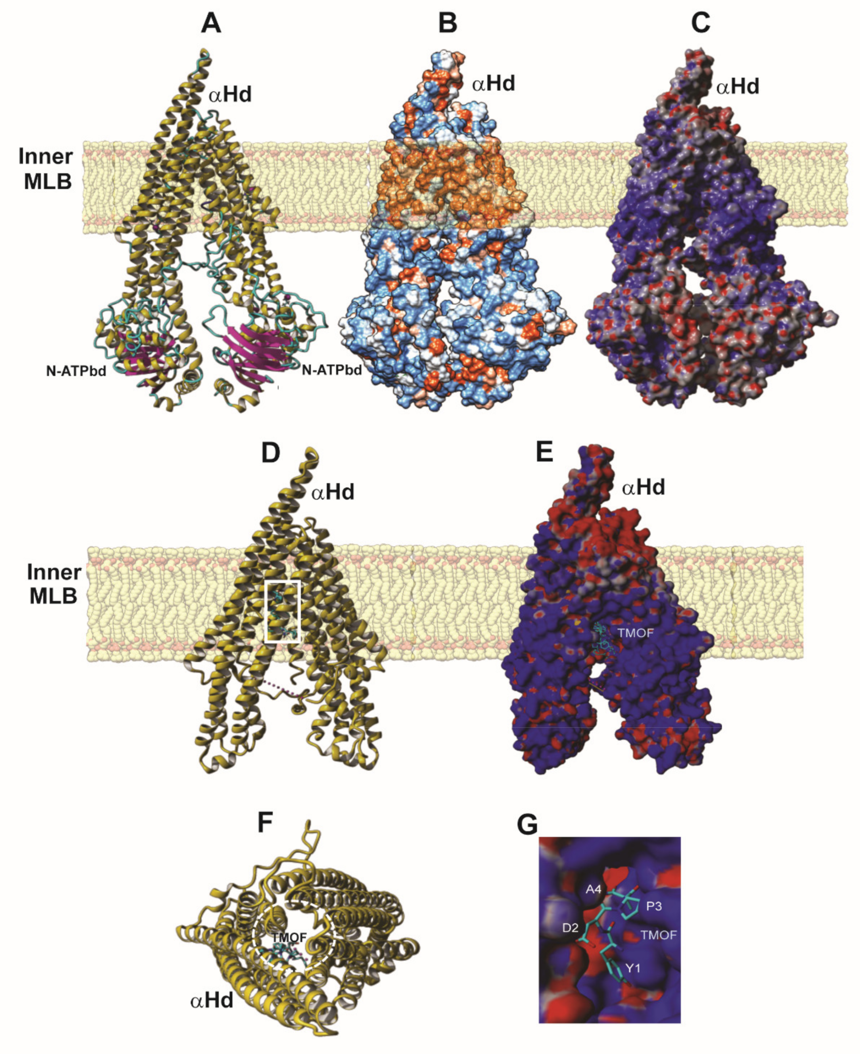 Biomolecules 11 00934 g007