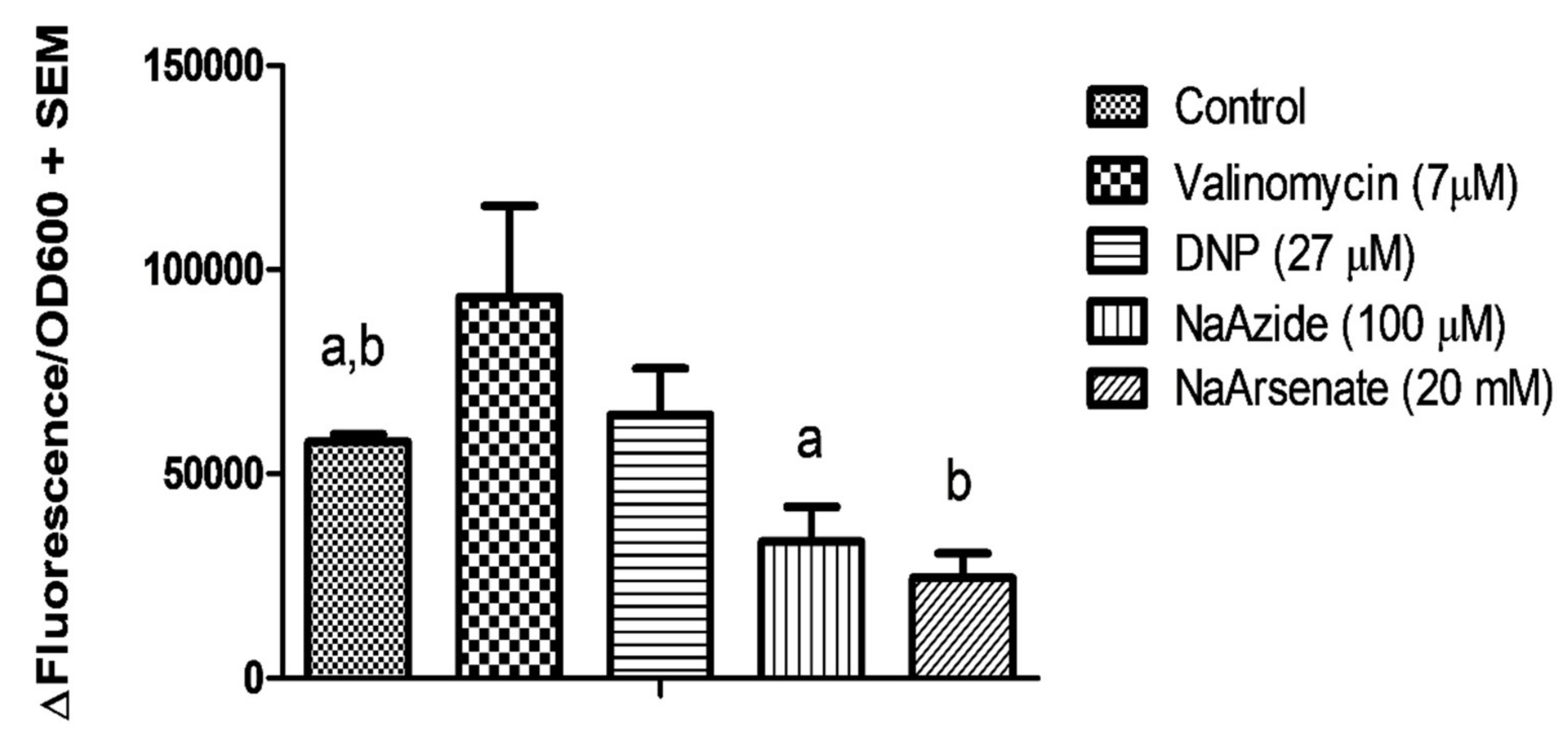 Biomolecules 11 00934 g012