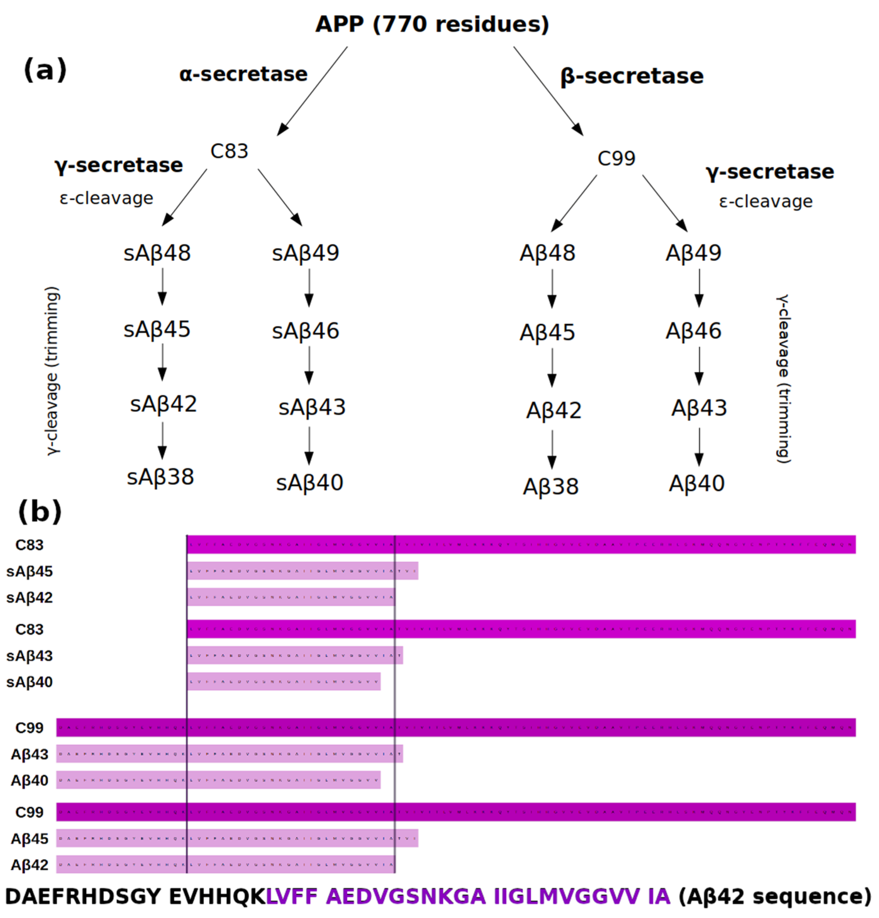 Biomolecules 11 00935 g001 Biomolecules 11 00935 g001