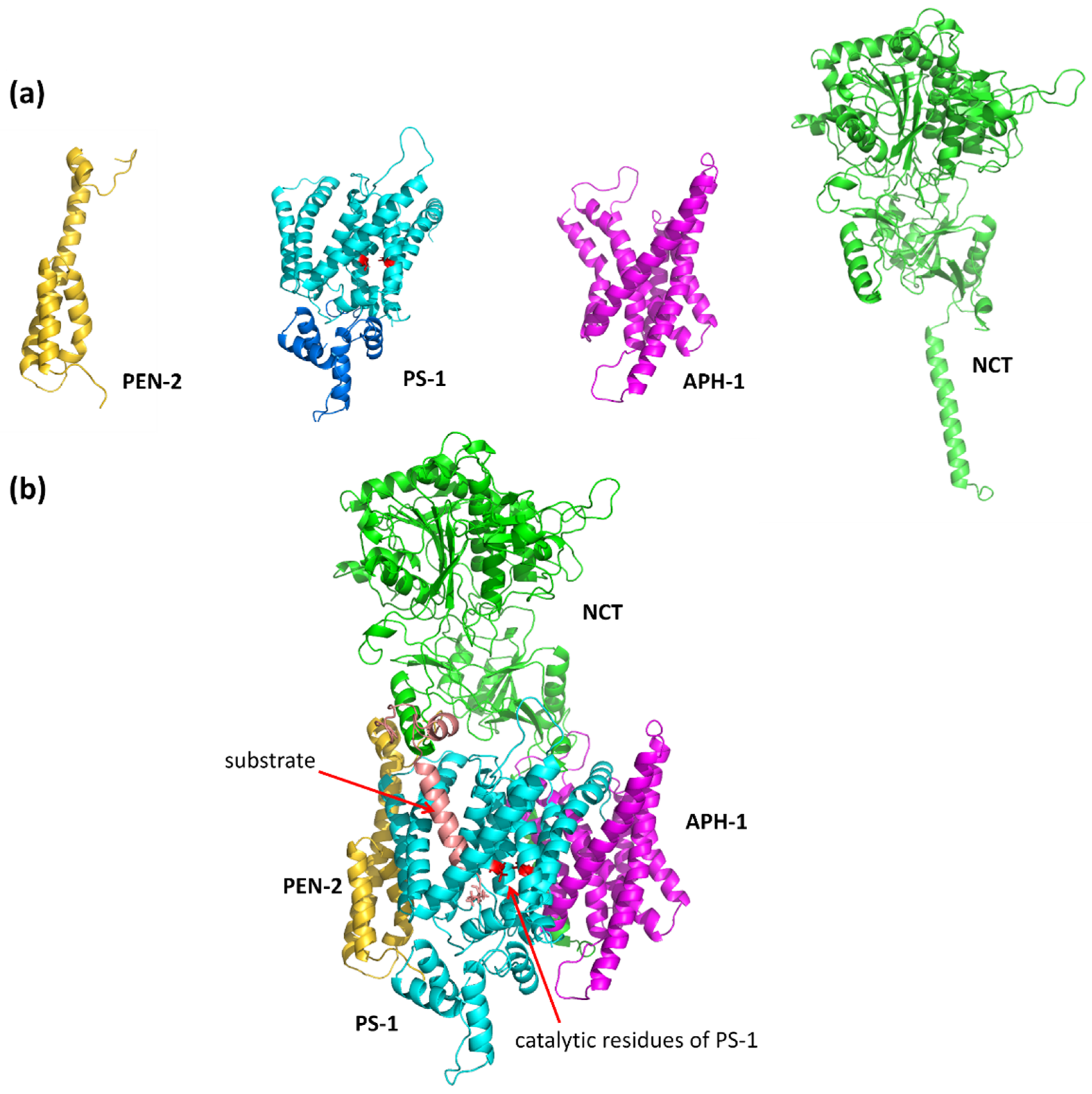 Biomolecules 11 00935 g002 Biomolecules 11 00935 g002
