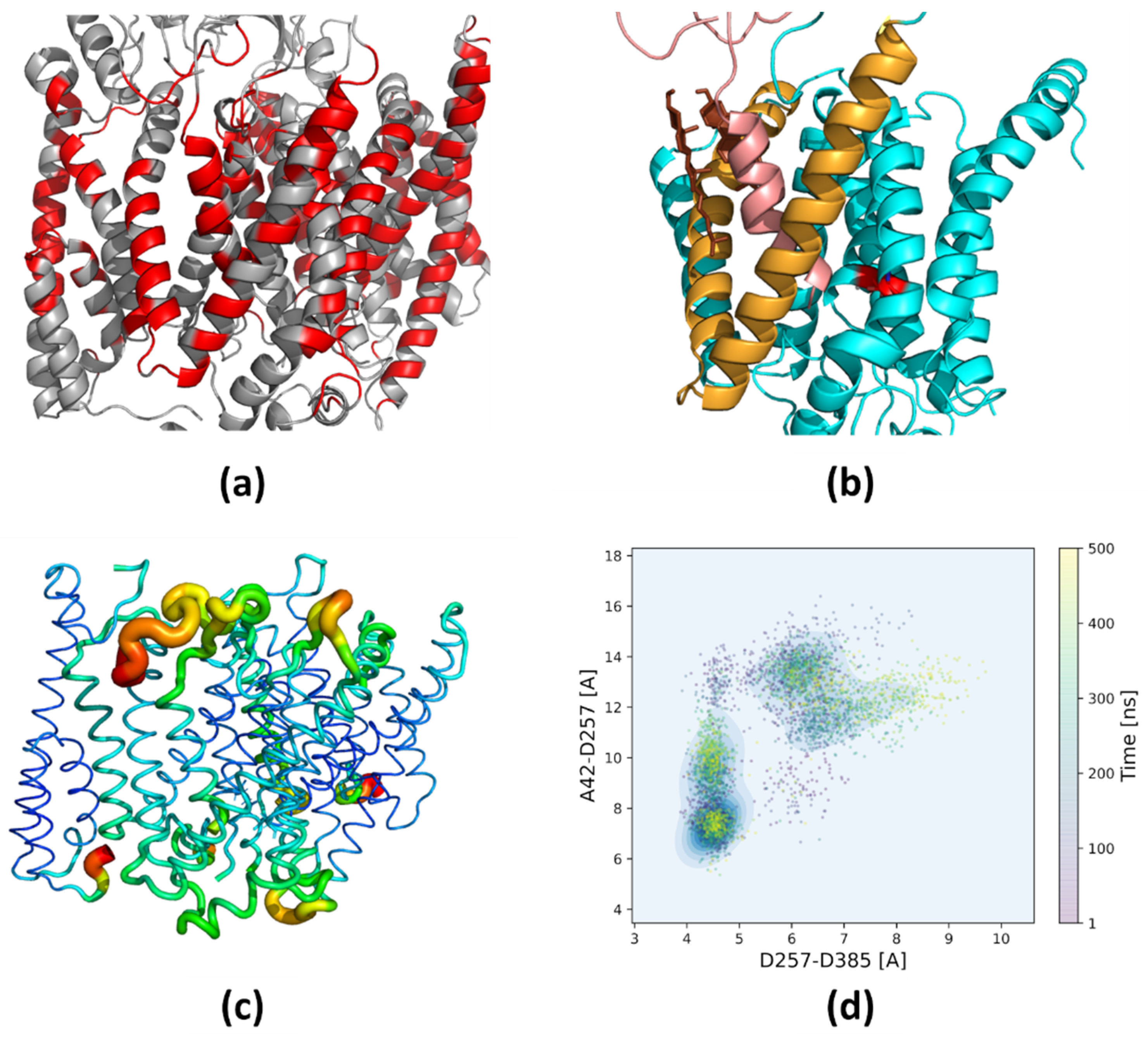 Biomolecules 11 00935 g003 Biomolecules 11 00935 g003