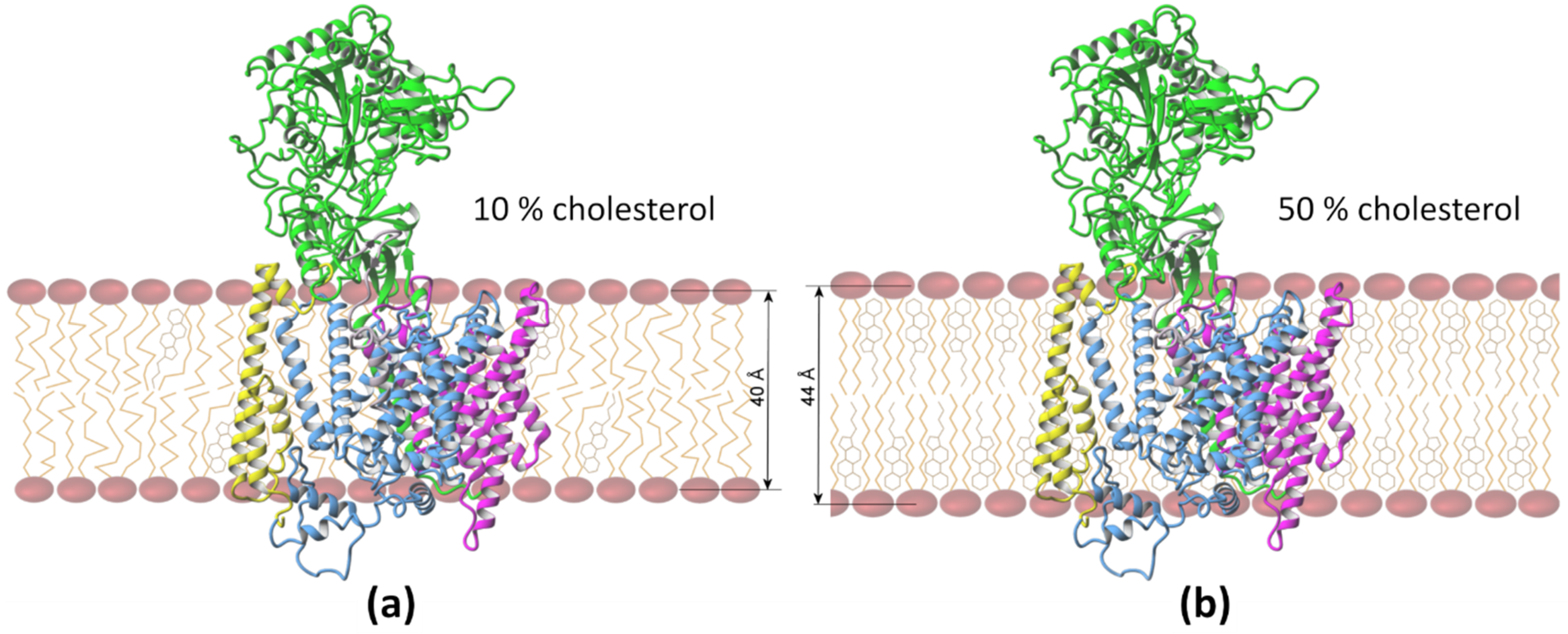 Biomolecules 11 00935 g004 Biomolecules 11 00935 g004