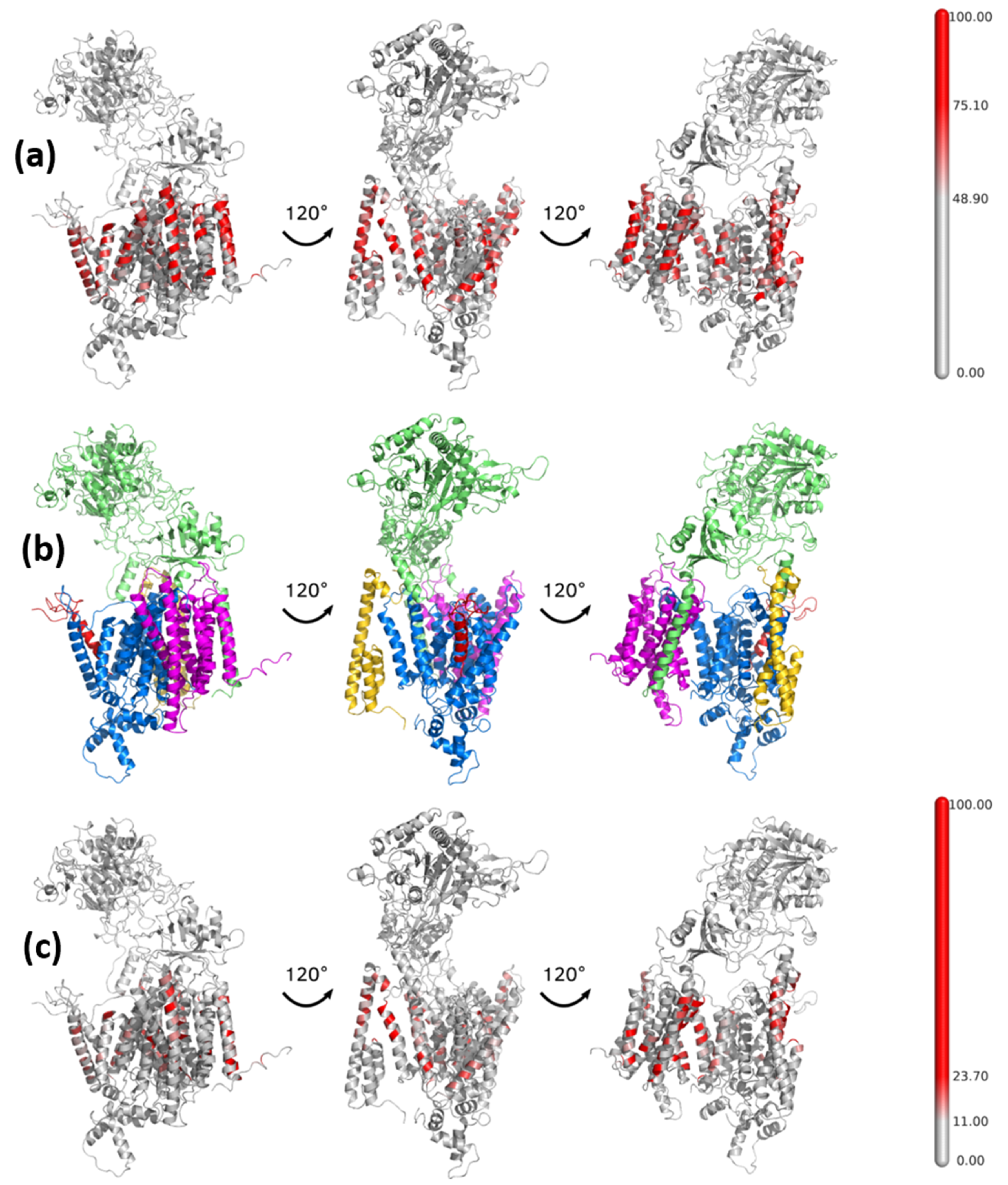 Biomolecules 11 00935 g005 Biomolecules 11 00935 g005