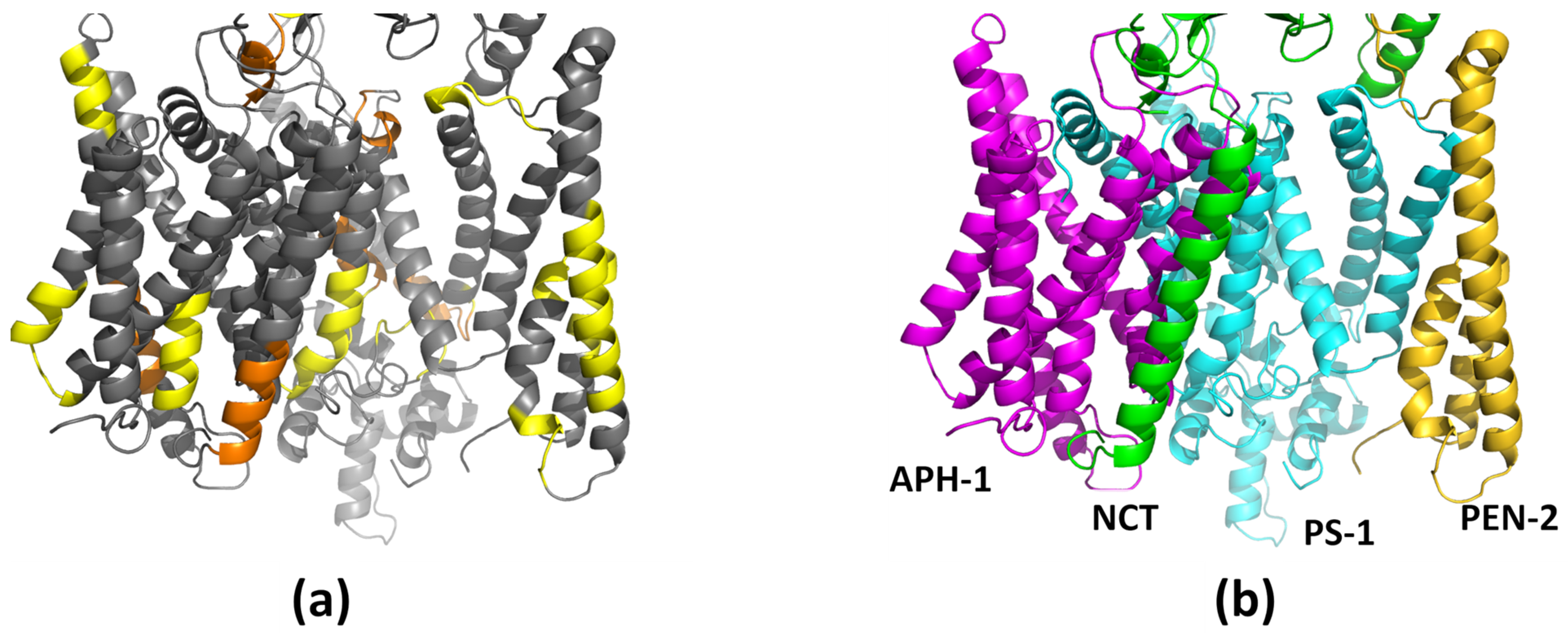 Biomolecules 11 00935 g008 Biomolecules 11 00935 g008