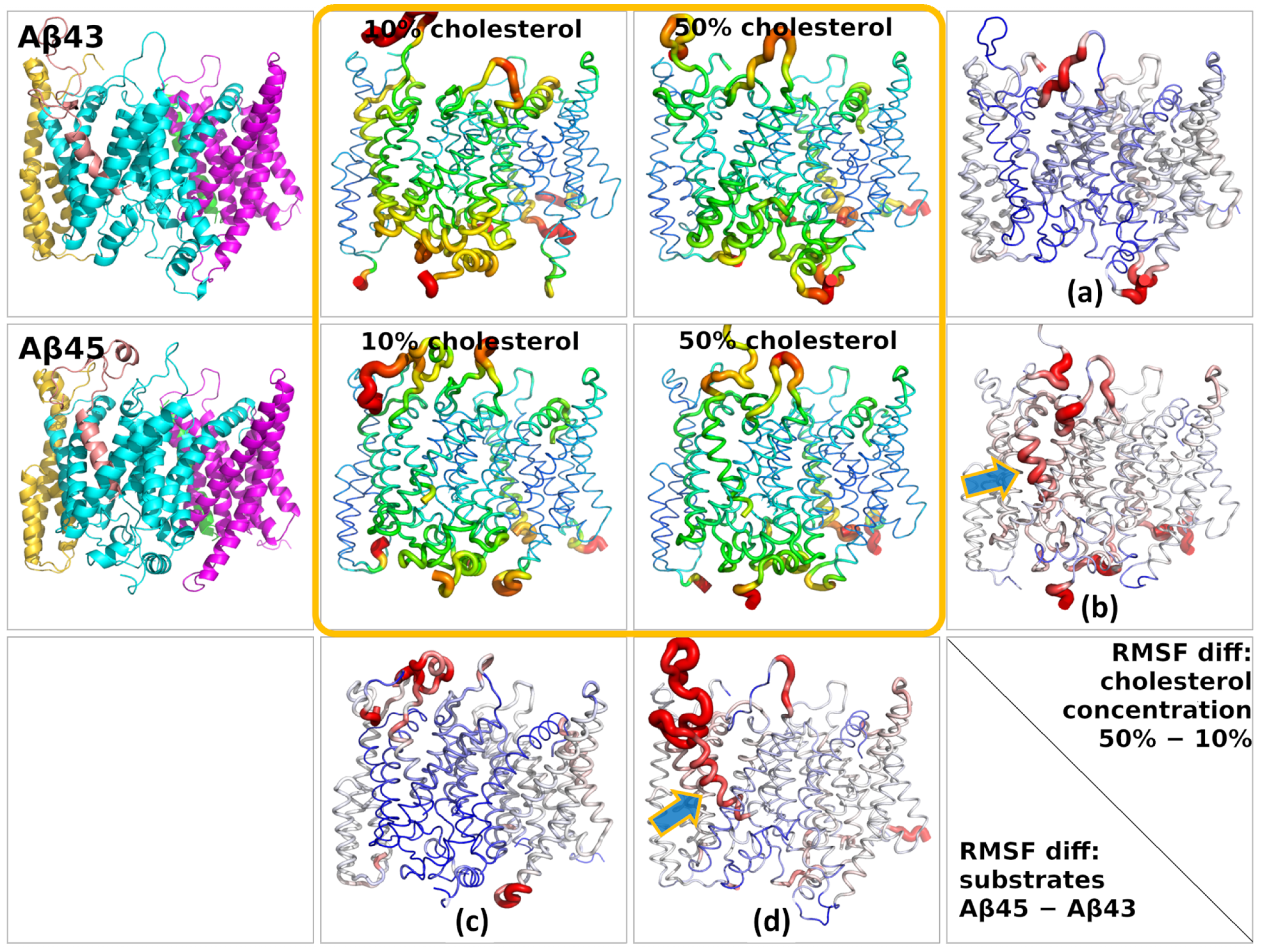 Biomolecules 11 00935 g009 Biomolecules 11 00935 g009