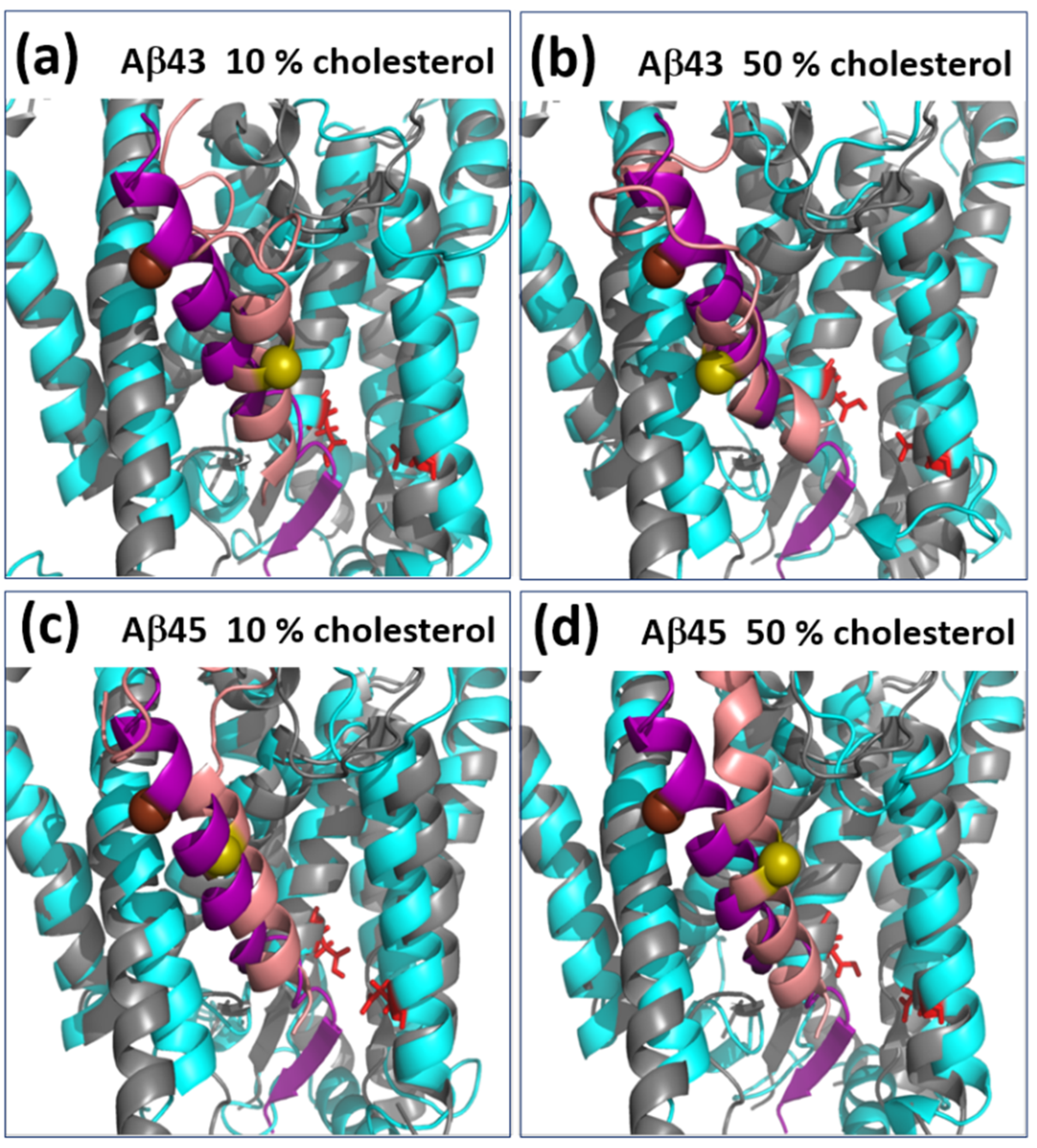 Biomolecules 11 00935 g010 Biomolecules 11 00935 g010