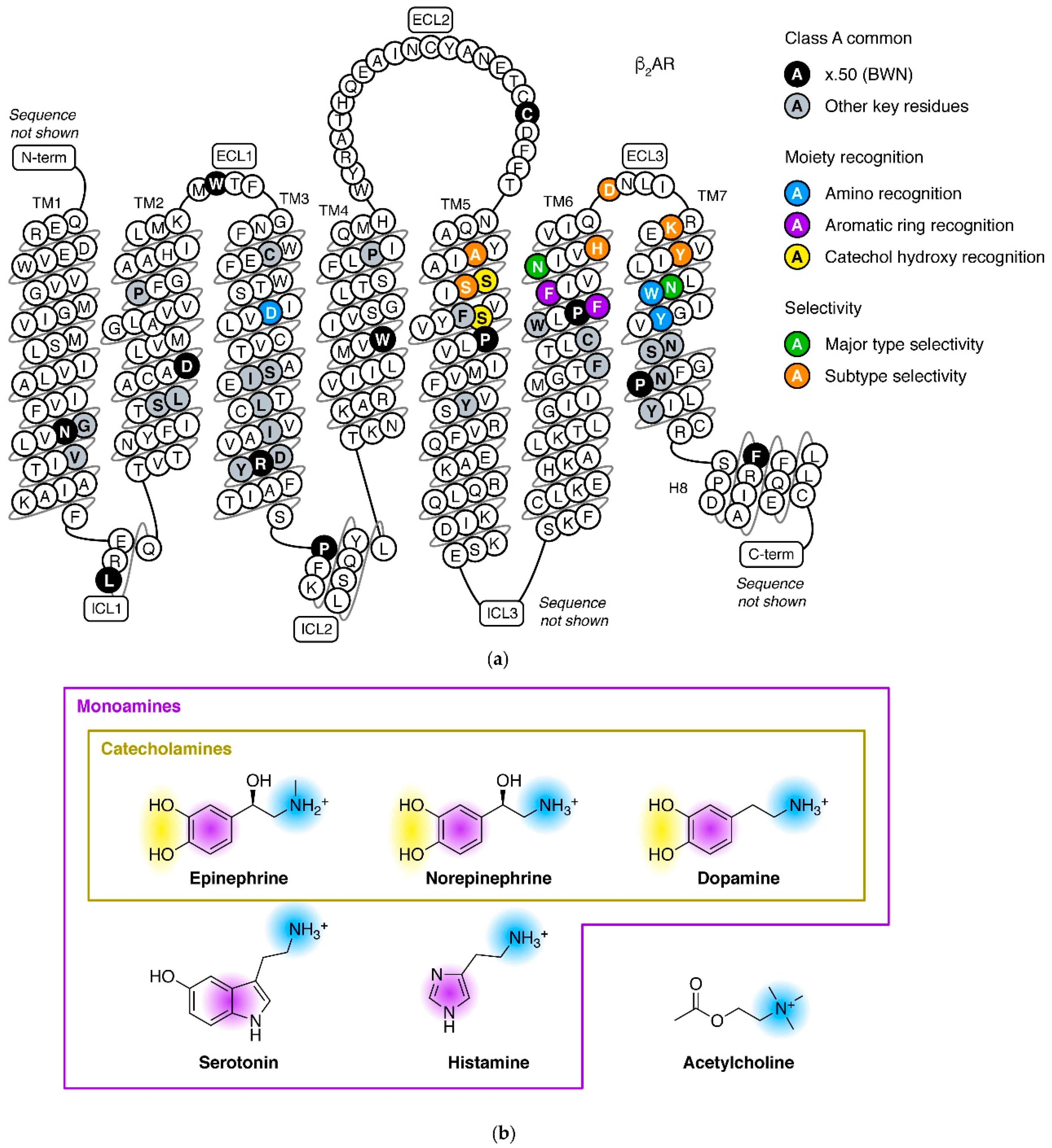 Biomolecules 11 00936 g002