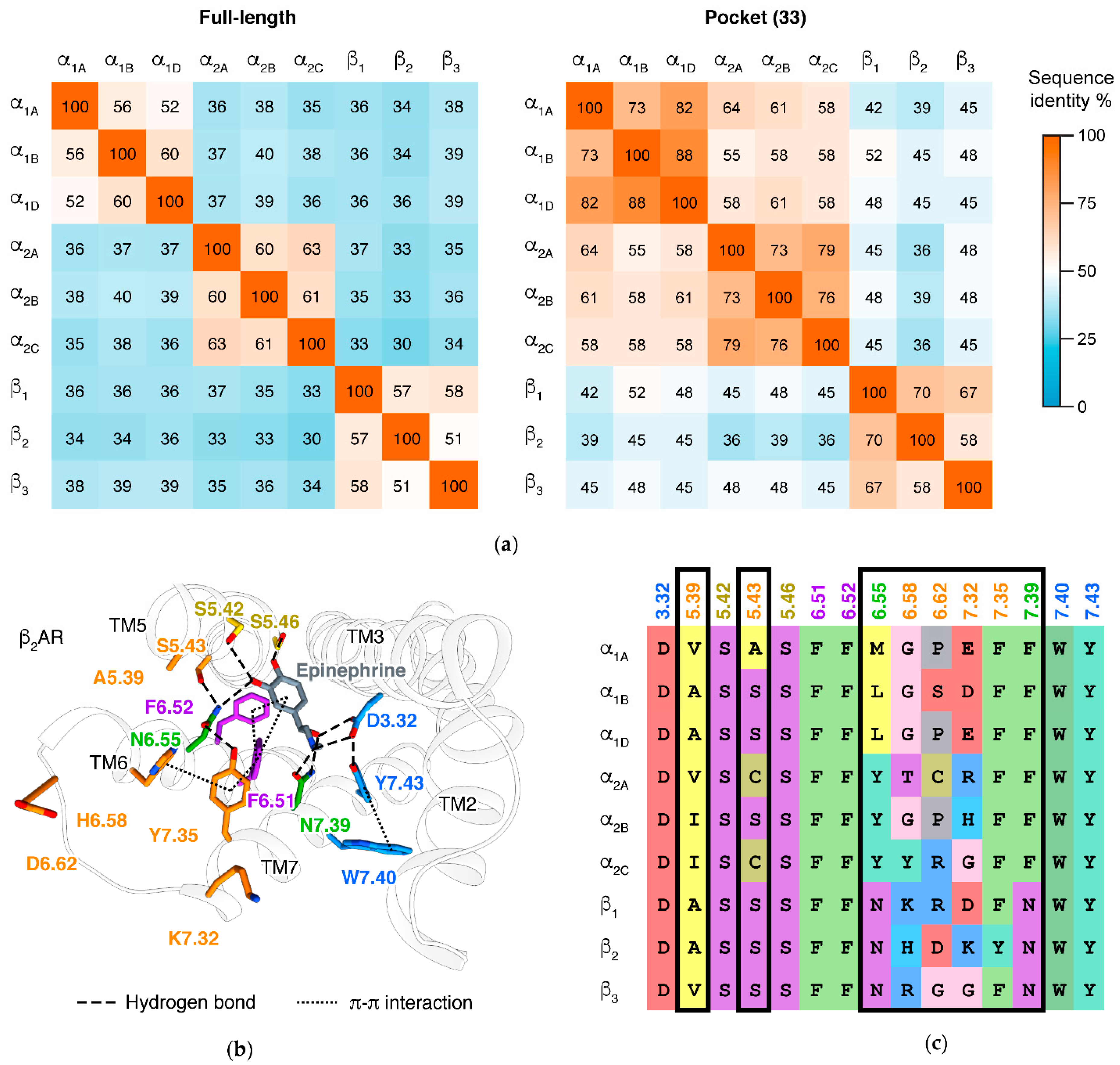 Biomolecules 11 00936 g003