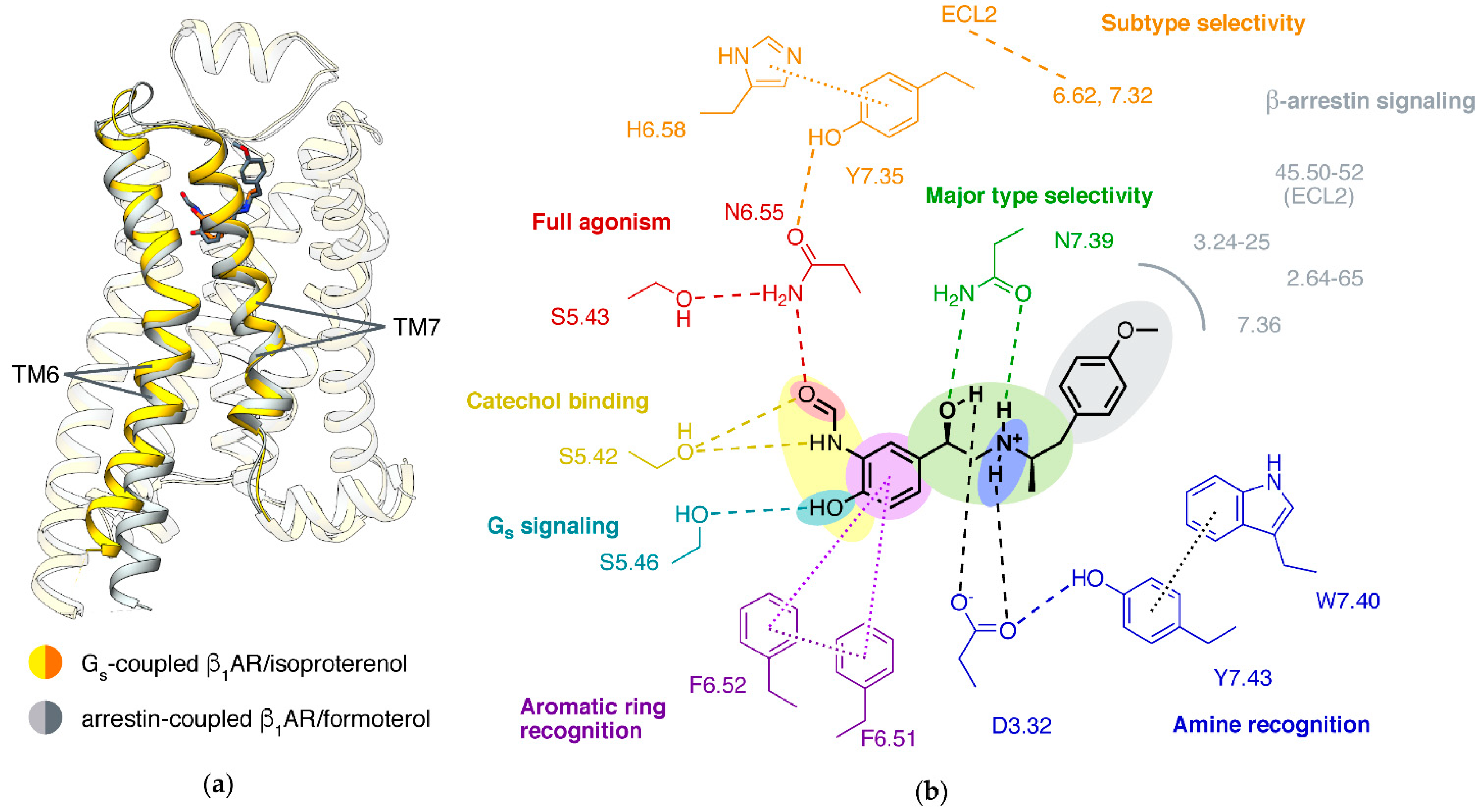 Biomolecules 11 00936 g005