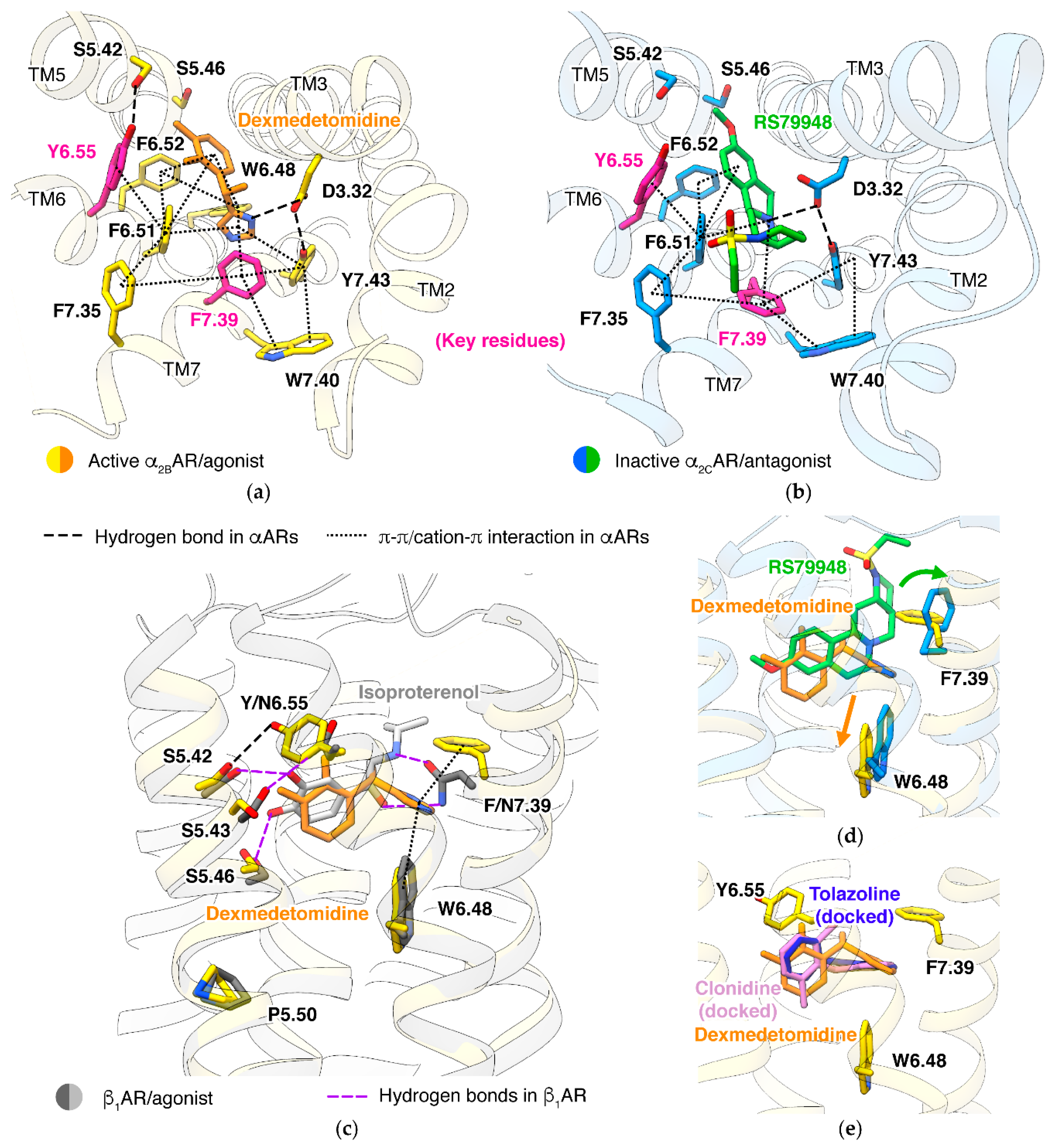 Biomolecules 11 00936 g006