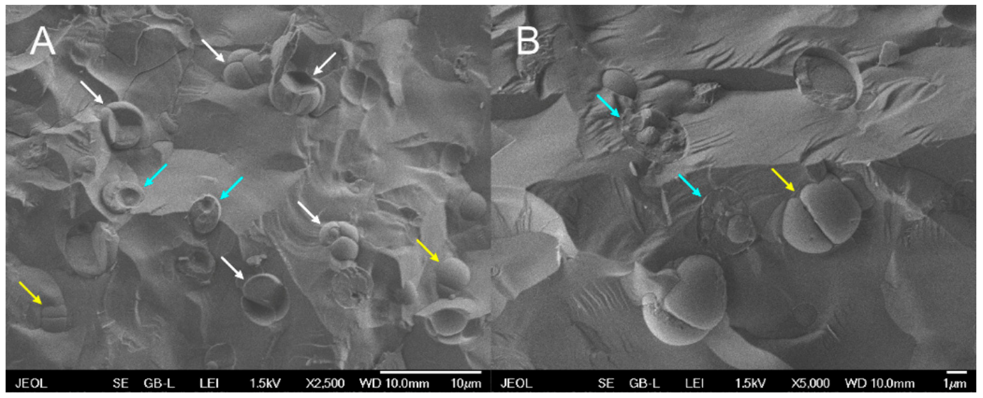 Biomolecules 11 00939 g006