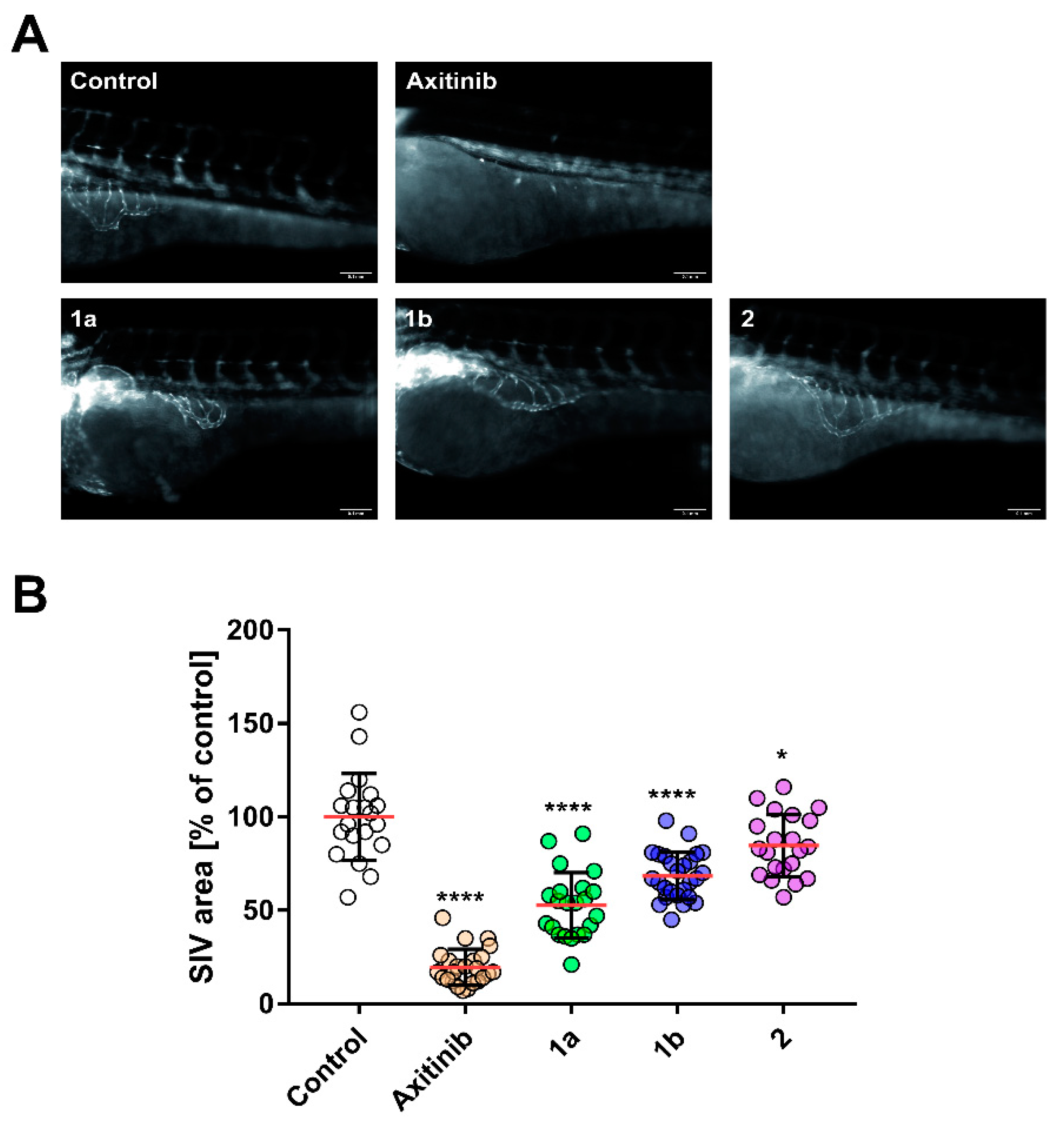 Biomolecules 11 00947 g003