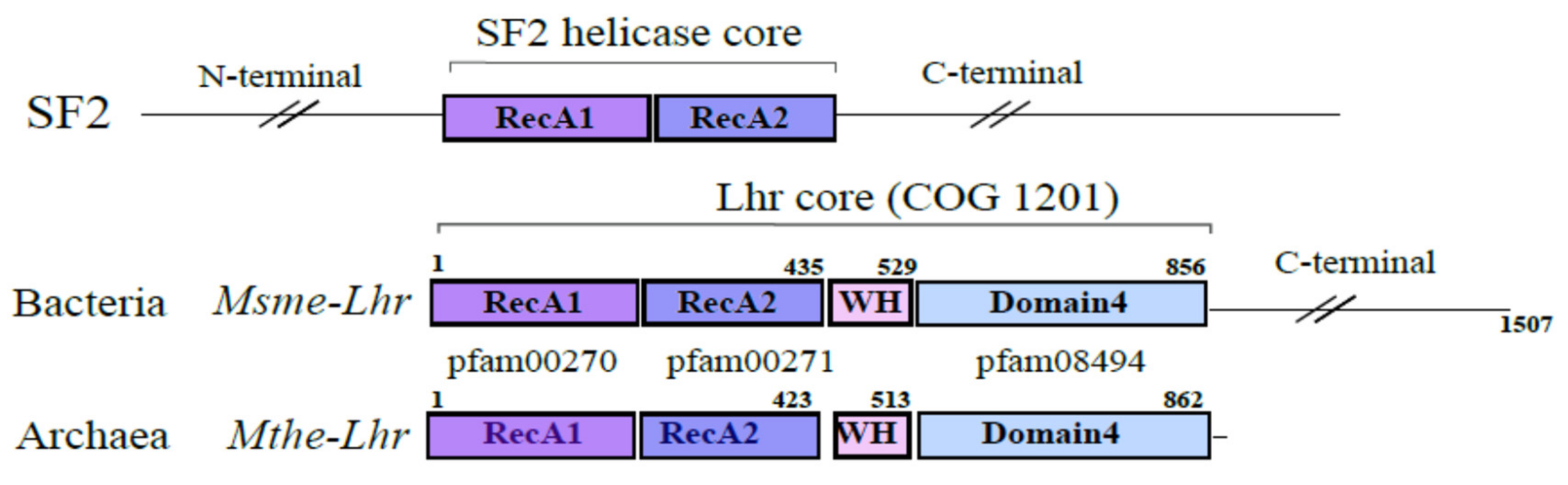 Biomolecules 11 00950 g001