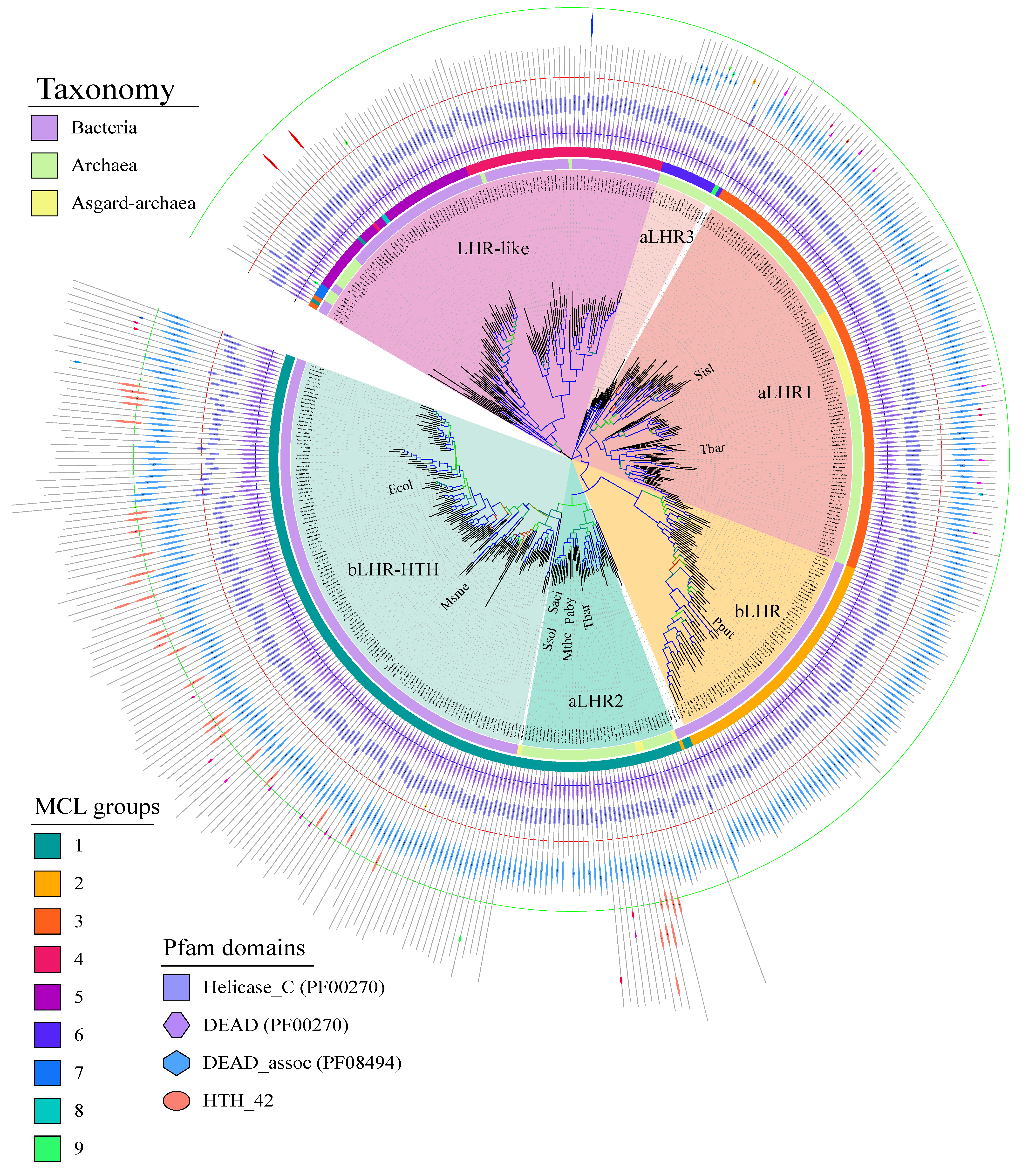 Biomolecules 11 00950 g002
