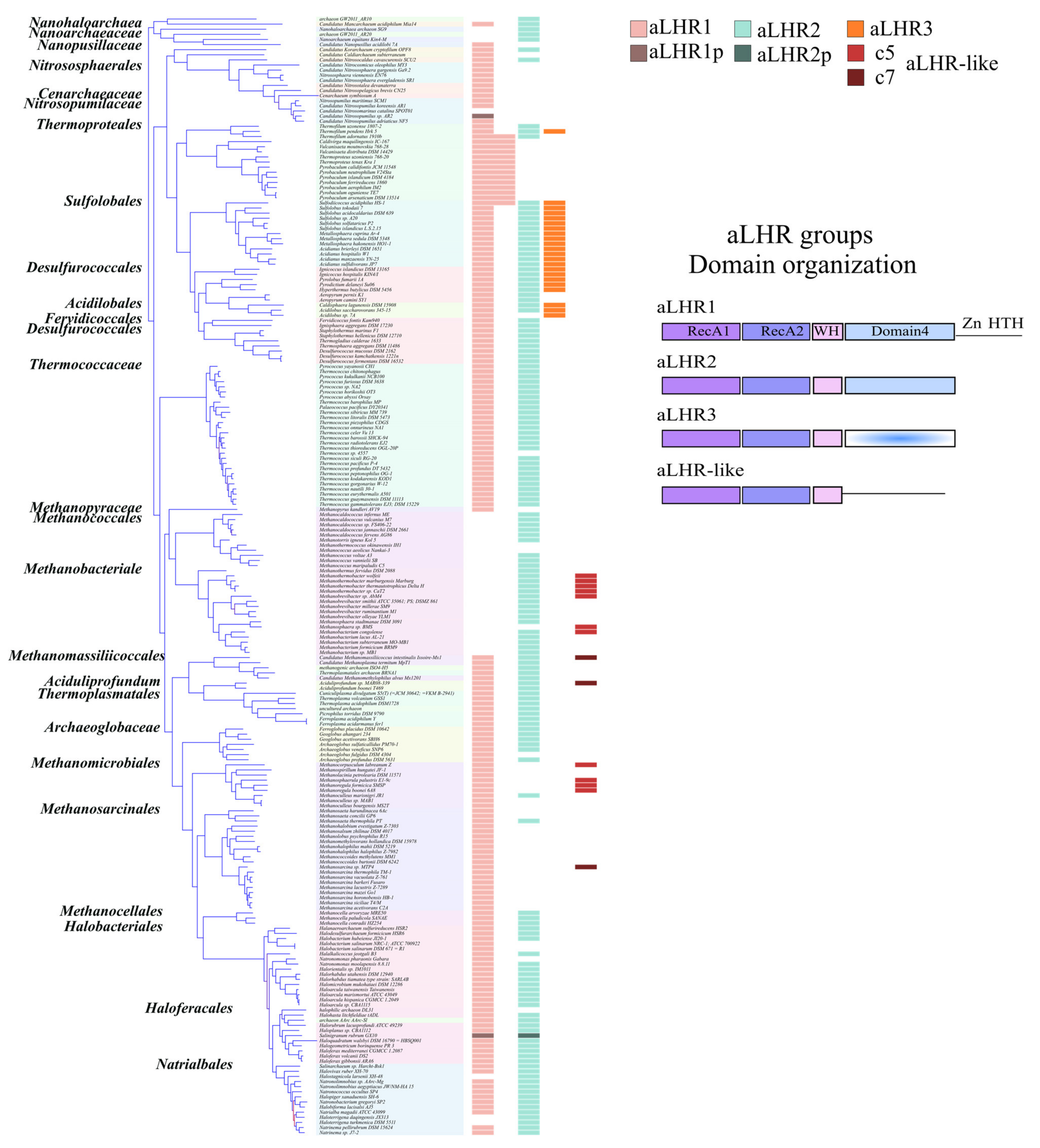 Biomolecules 11 00950 g003