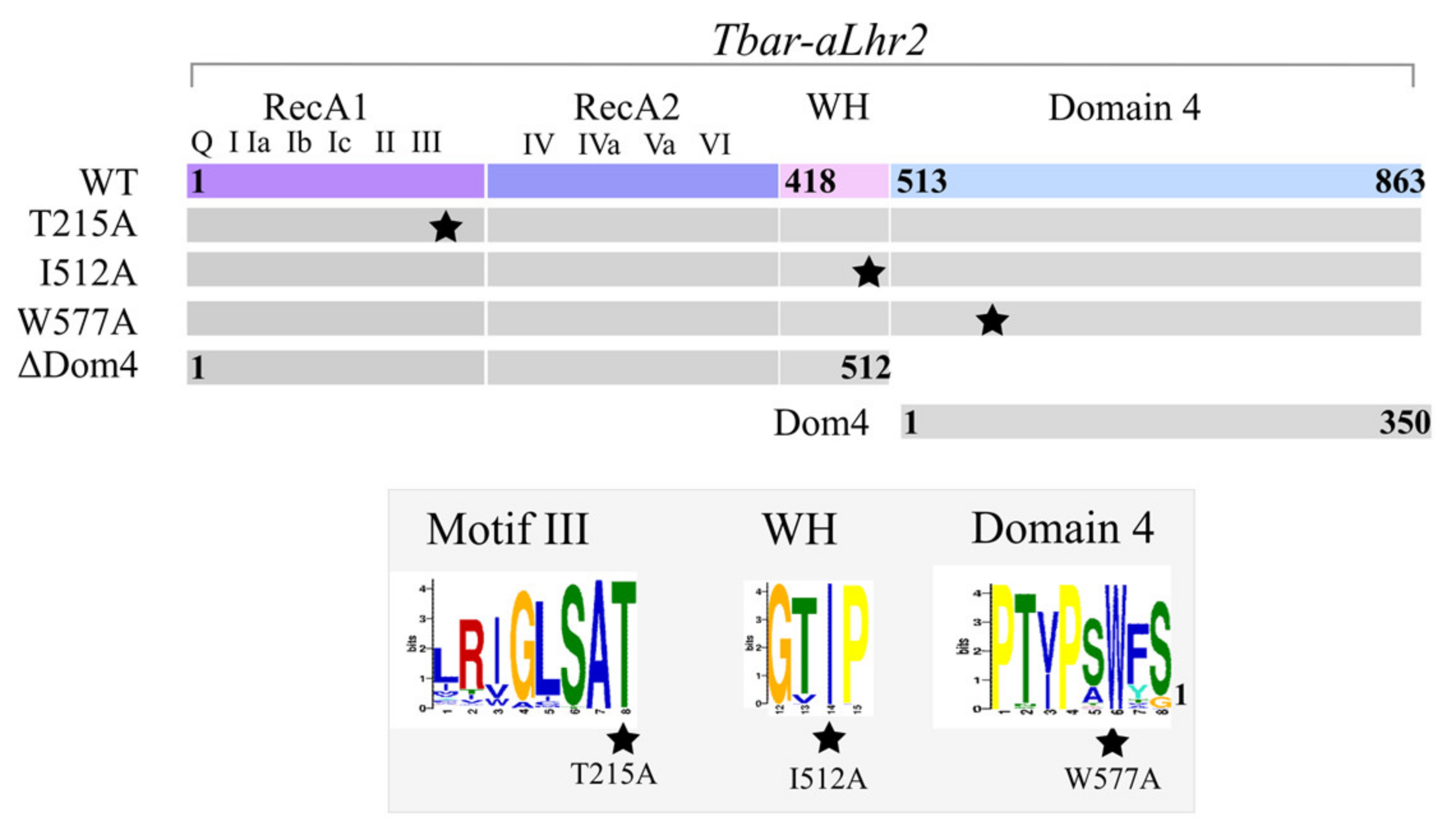 Biomolecules 11 00950 g004