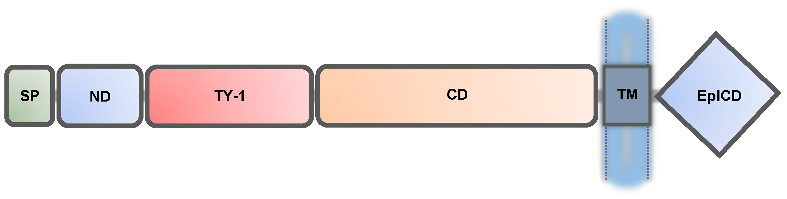 Biomolecules 11 00956 g001