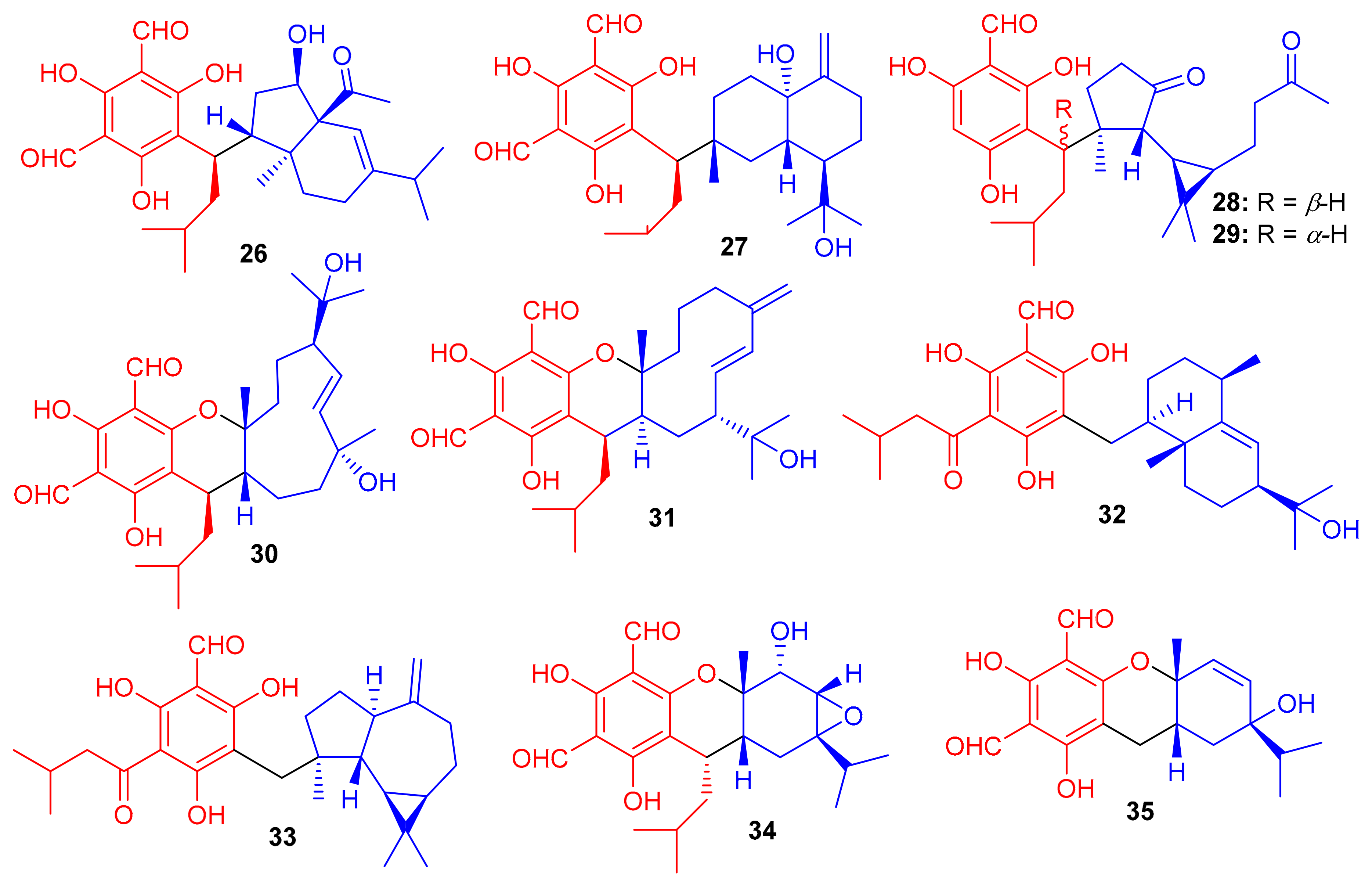 Biomolecules 11 00957 g004