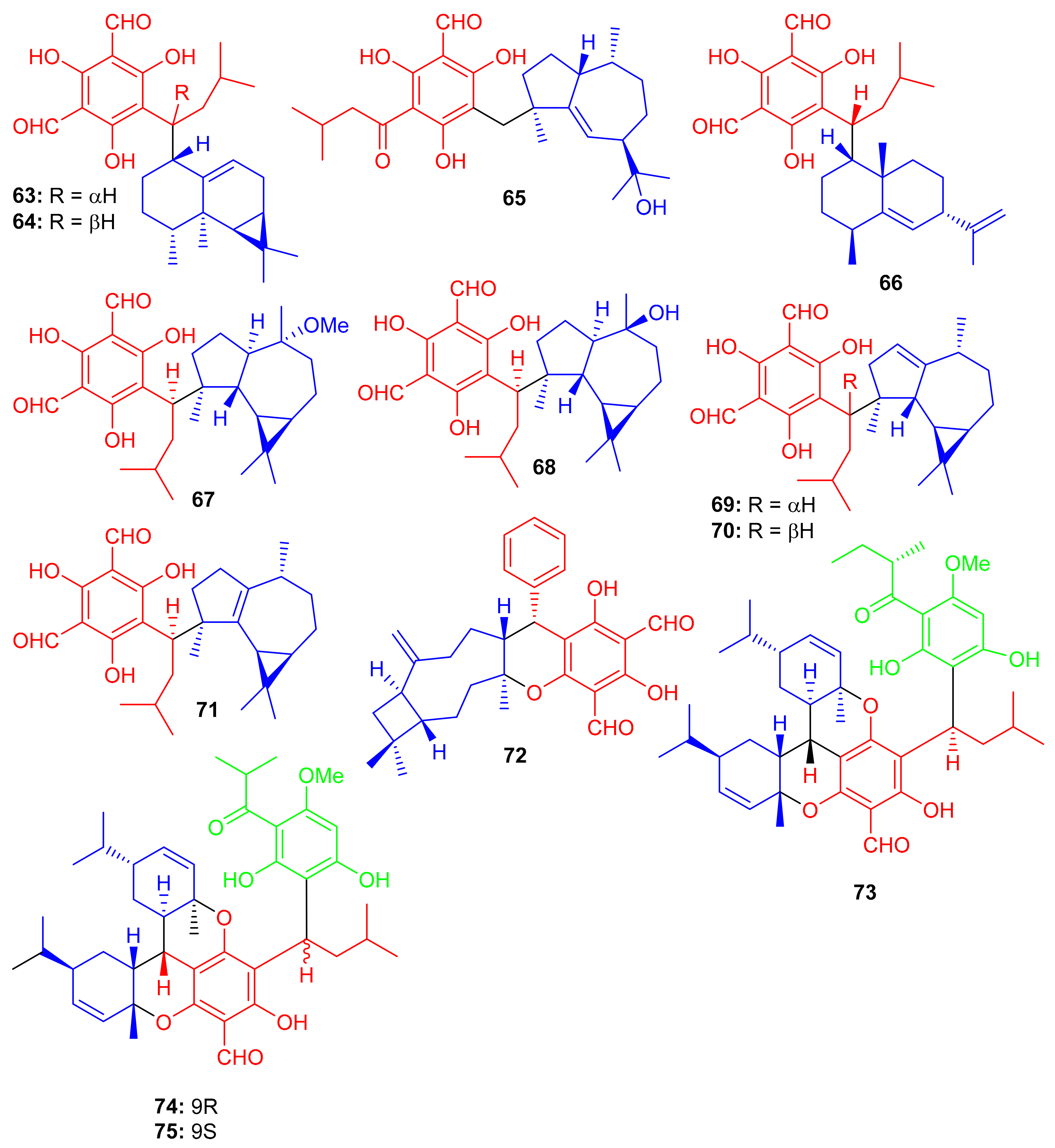Biomolecules 11 00957 g009