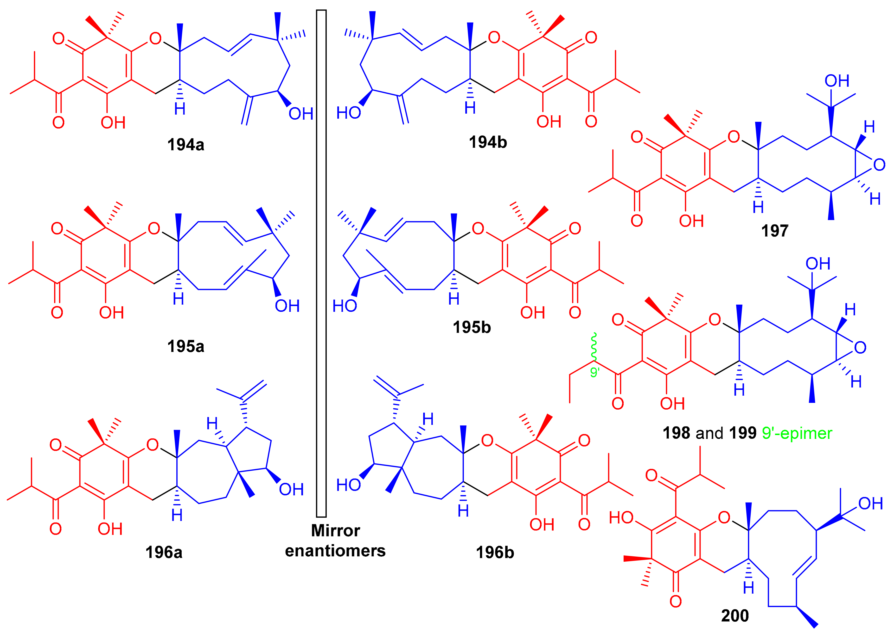Biomolecules 11 00957 g022