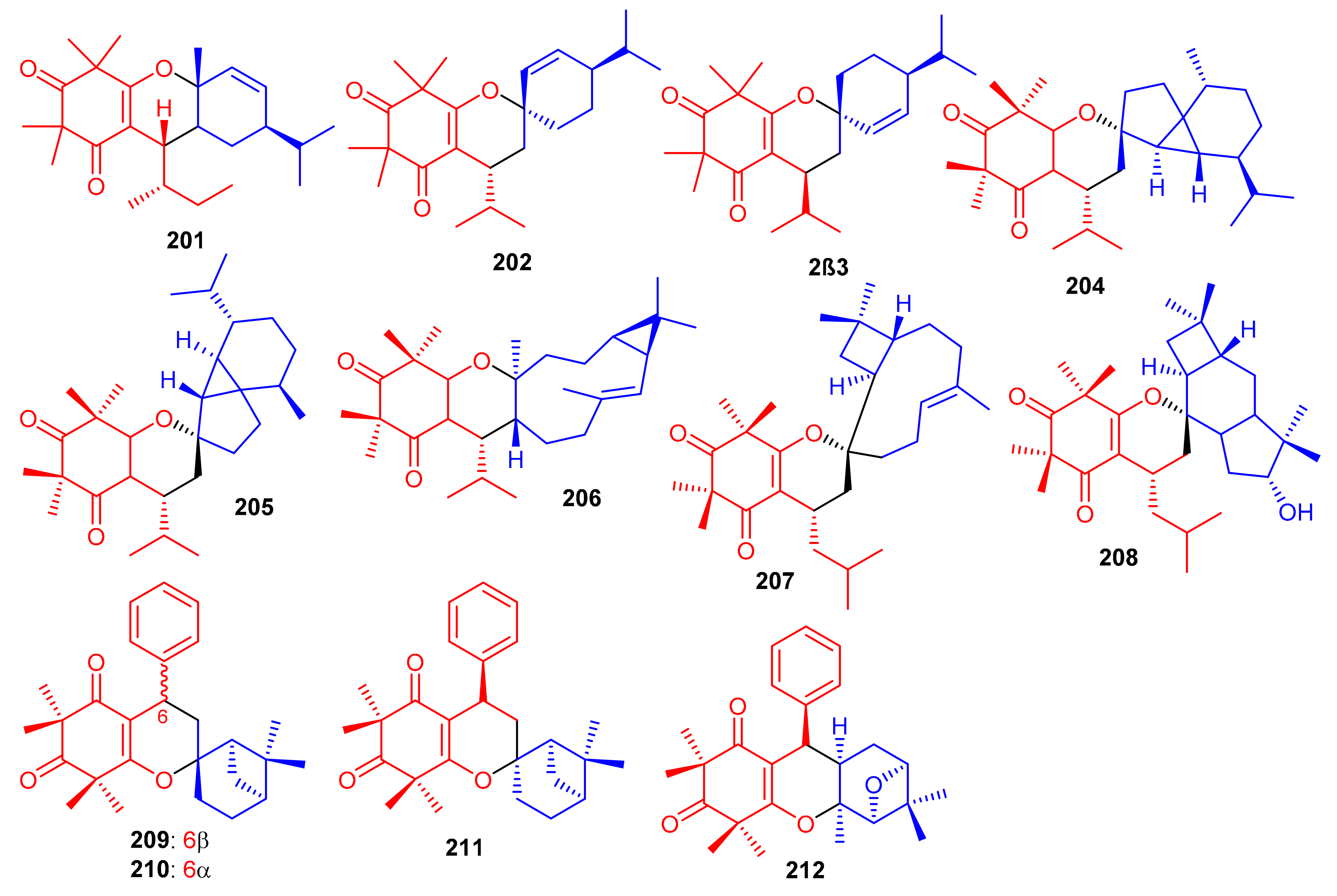 Biomolecules 11 00957 g023