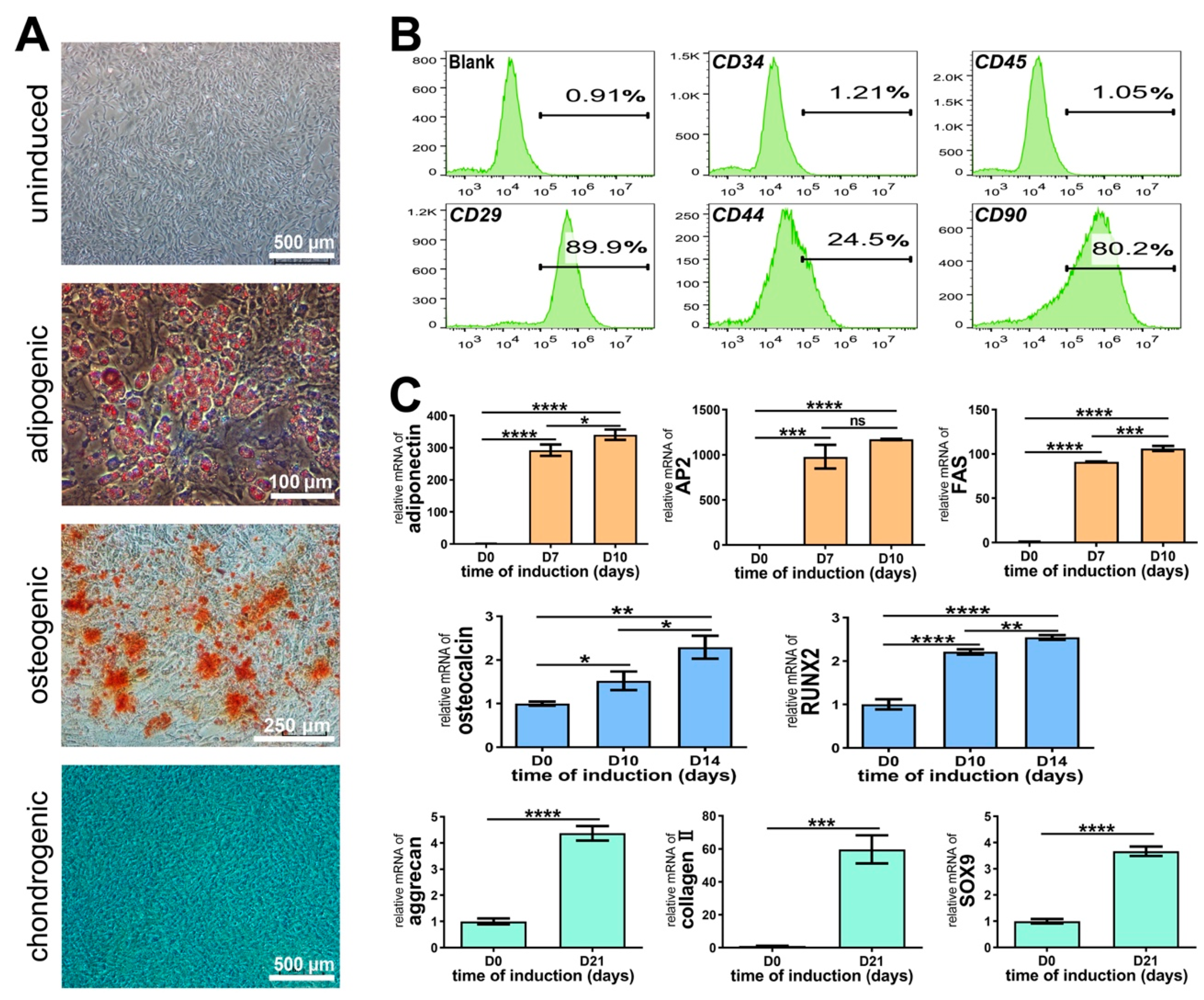 Biomolecules 11 00958 g003 Biomolecules 11 00958 g003