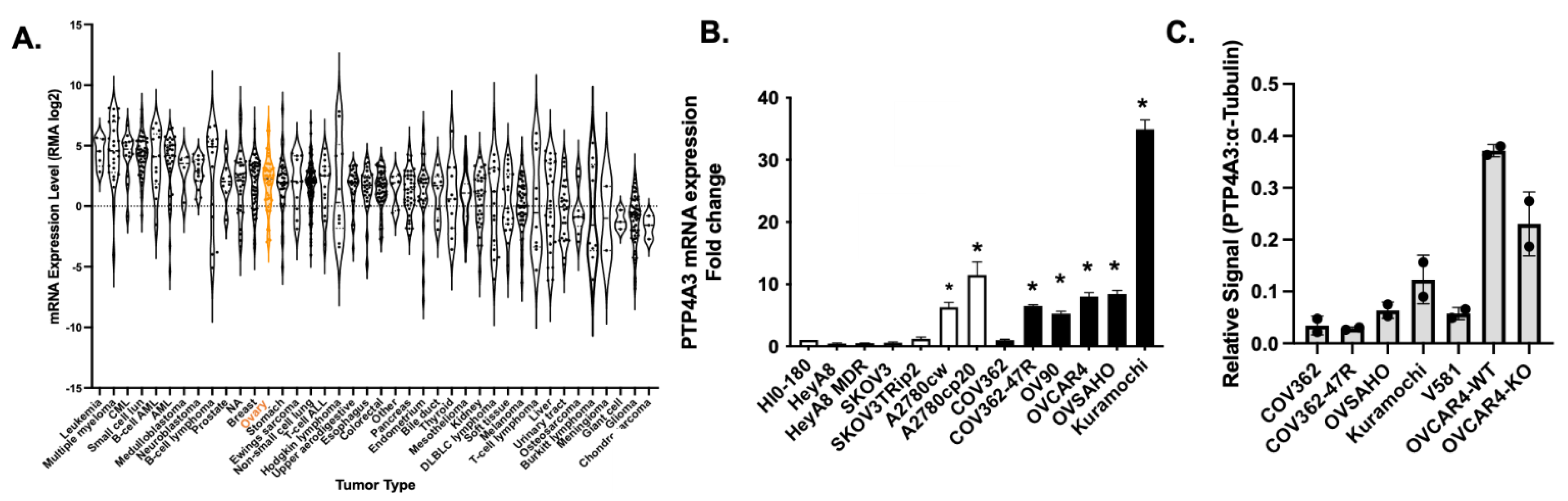 Biomolecules 11 00969 g001 Biomolecules 11 00969 g001