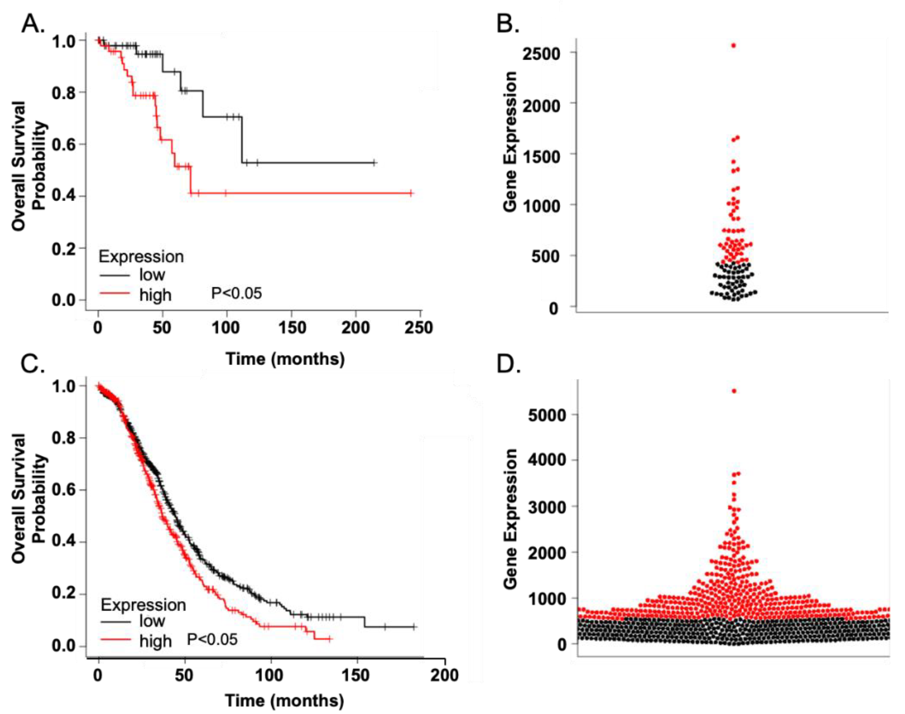 Biomolecules 11 00969 g002 Biomolecules 11 00969 g002