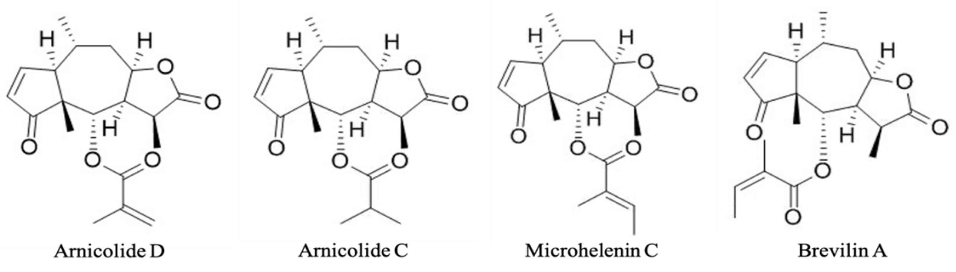 Biomolecules 11 00976 g002