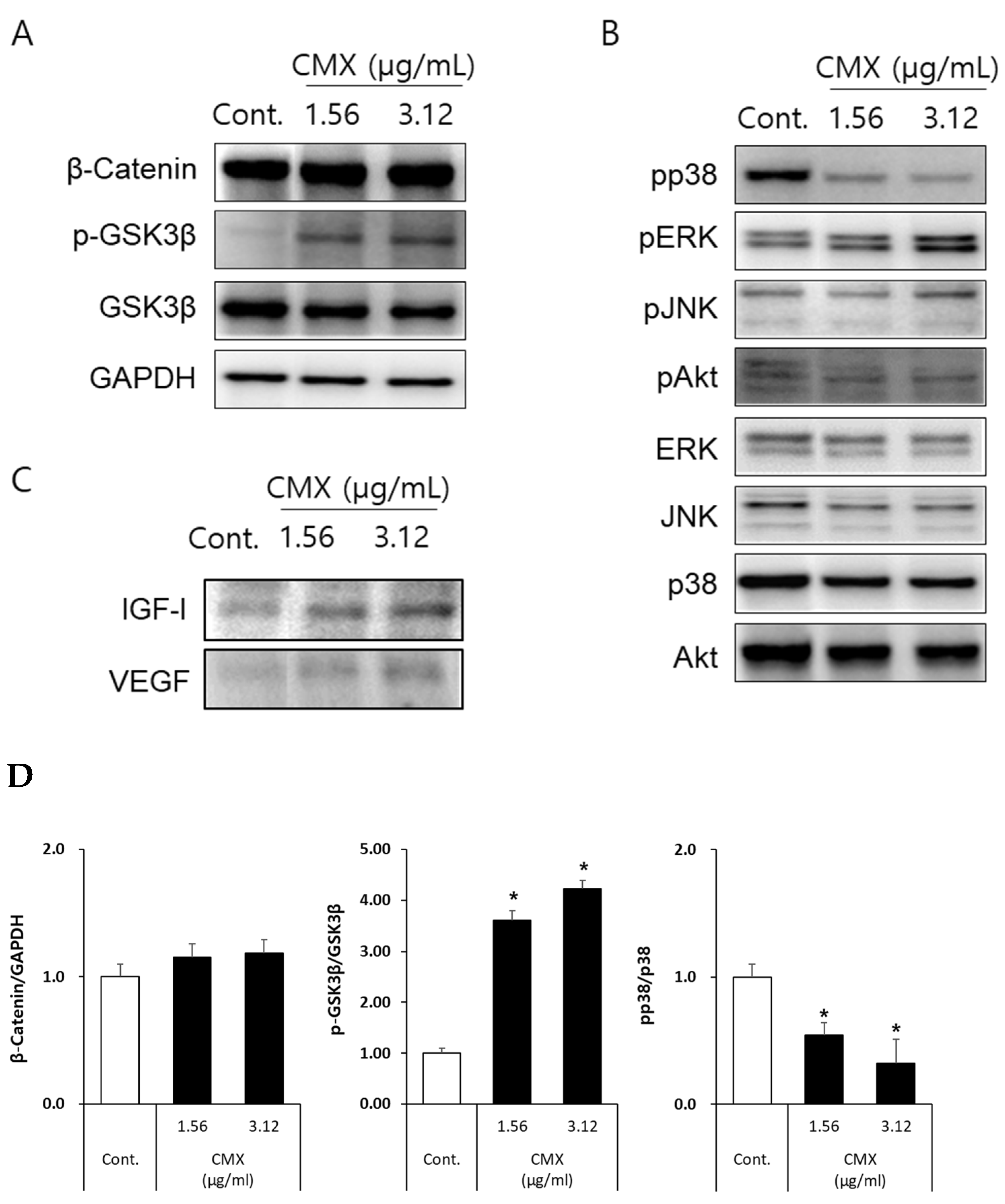 Biomolecules 11 00976 g006a