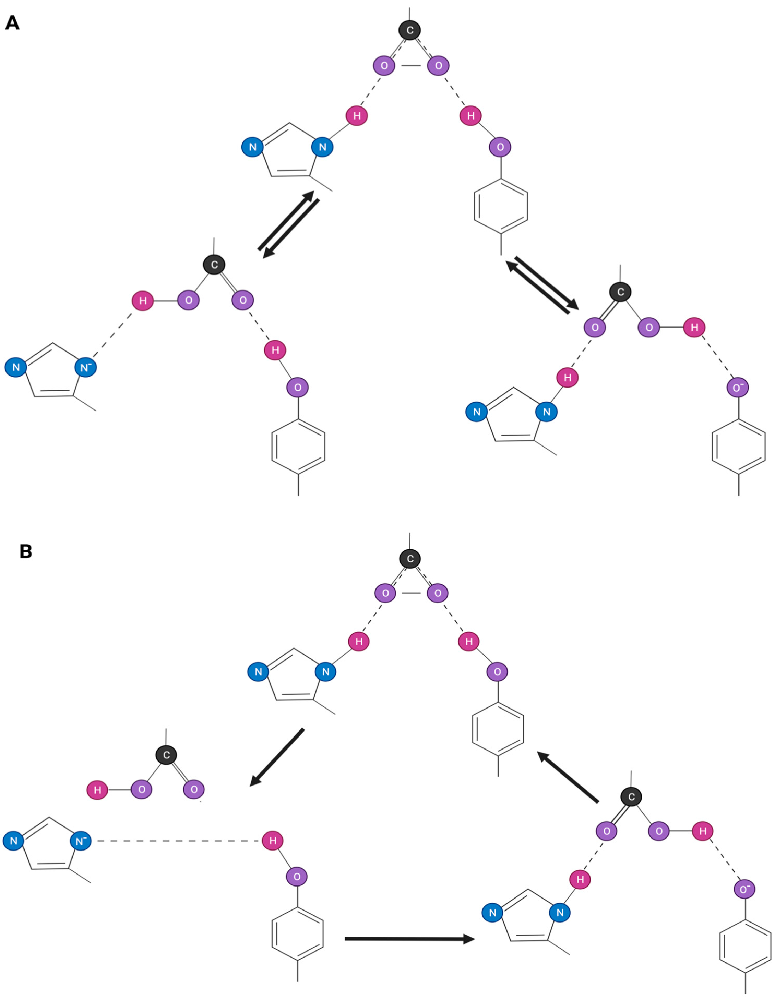 Biomolecules 11 00979 g002