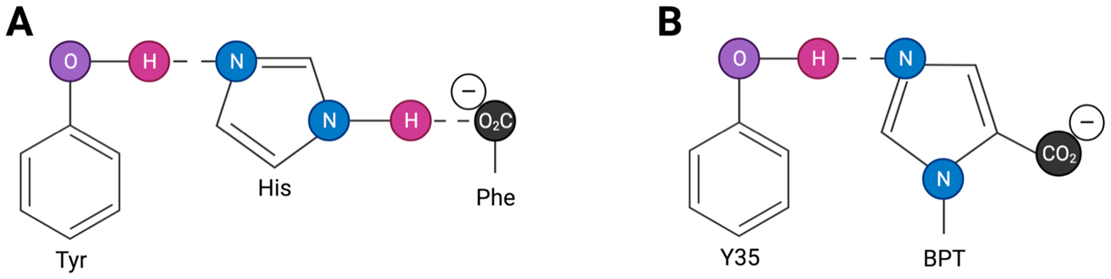 Biomolecules 11 00979 g005