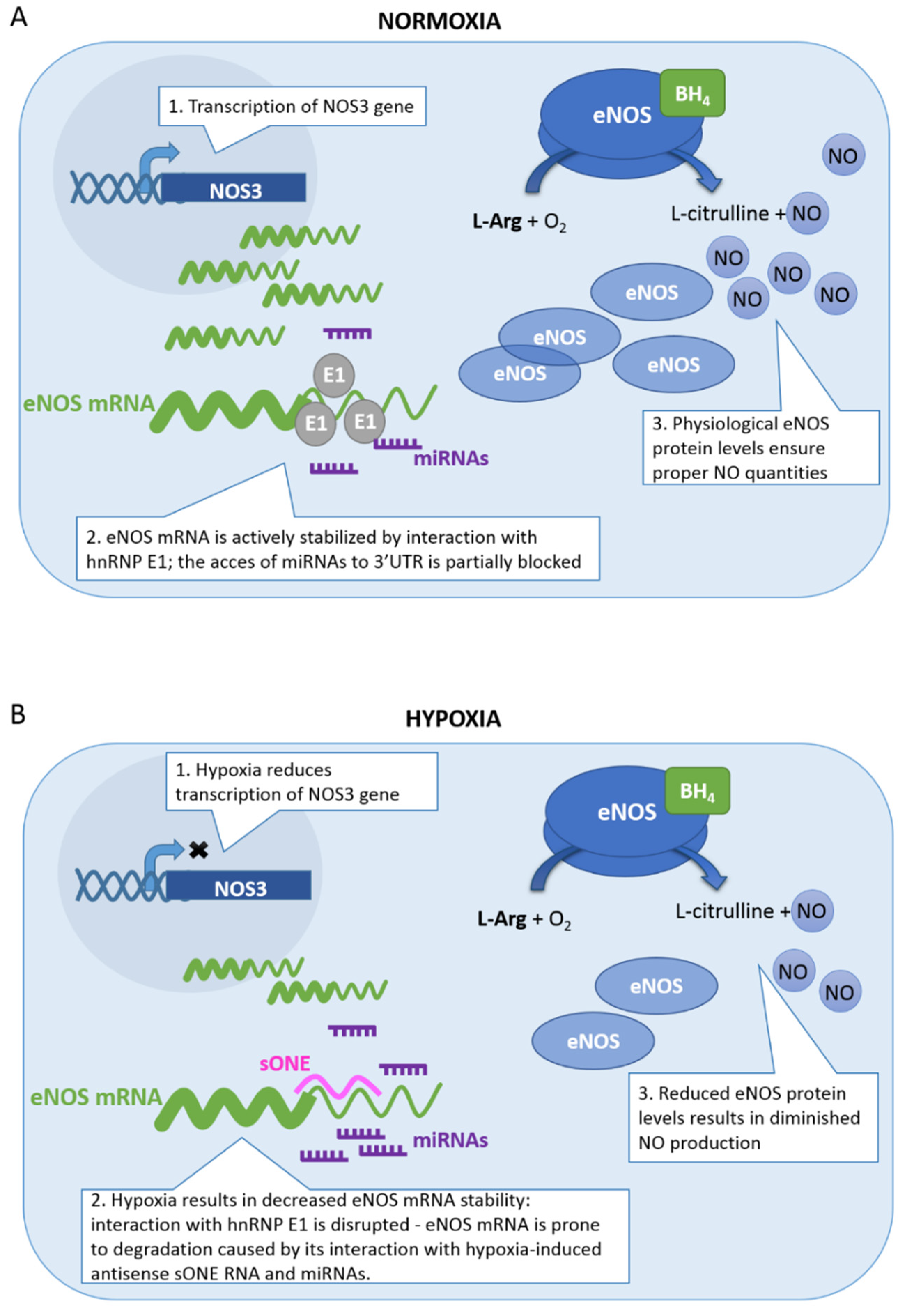 Biomolecules 11 00982 g001 Biomolecules 11 00982 g001