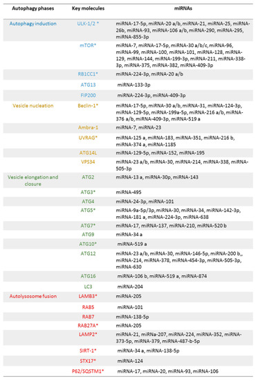 Biomolecules 11 00985 g006