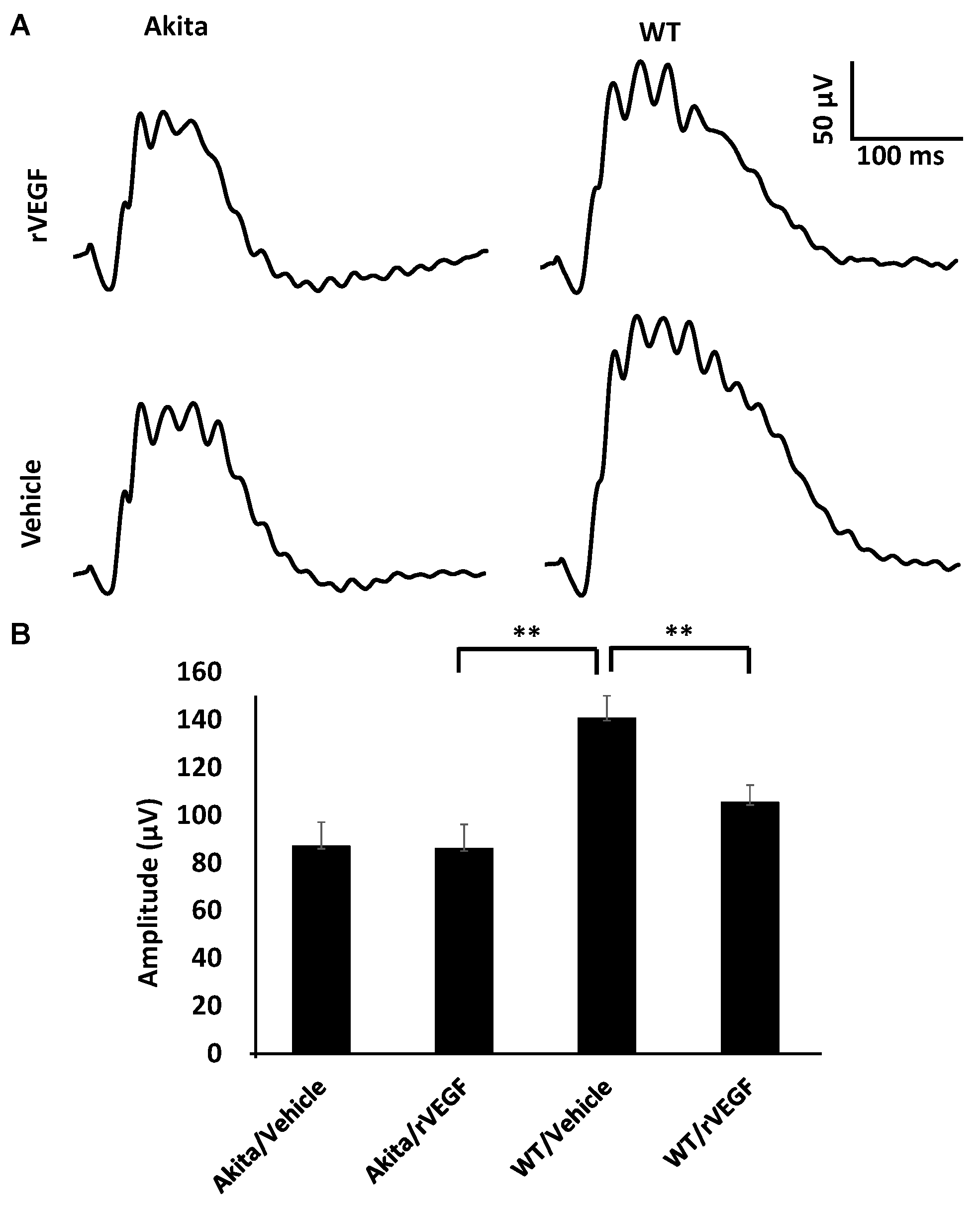 Biomolecules 11 00988 g004 Biomolecules 11 00988 g004
