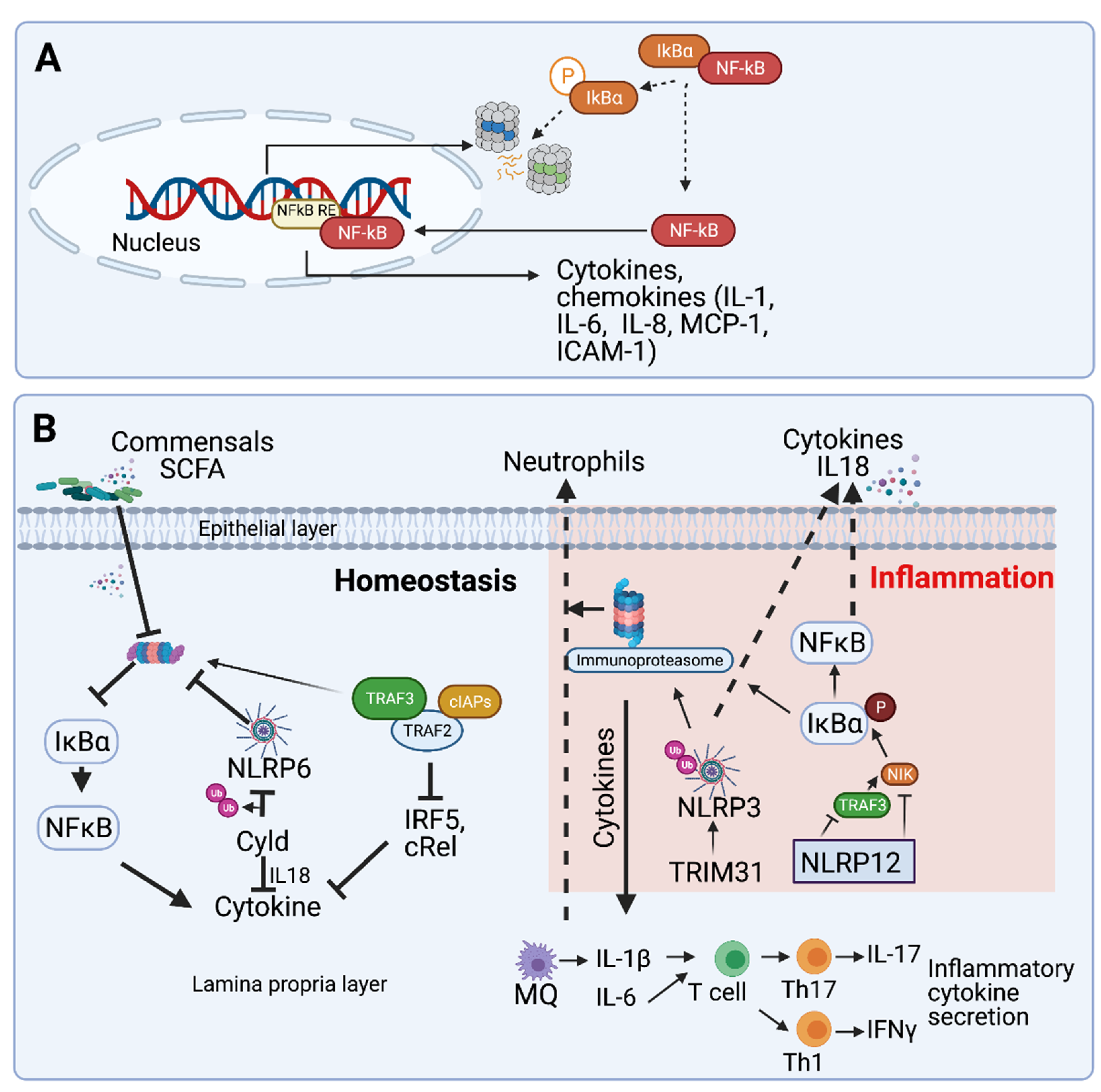 Biomolecules 11 00989 g002 Biomolecules 11 00989 g002