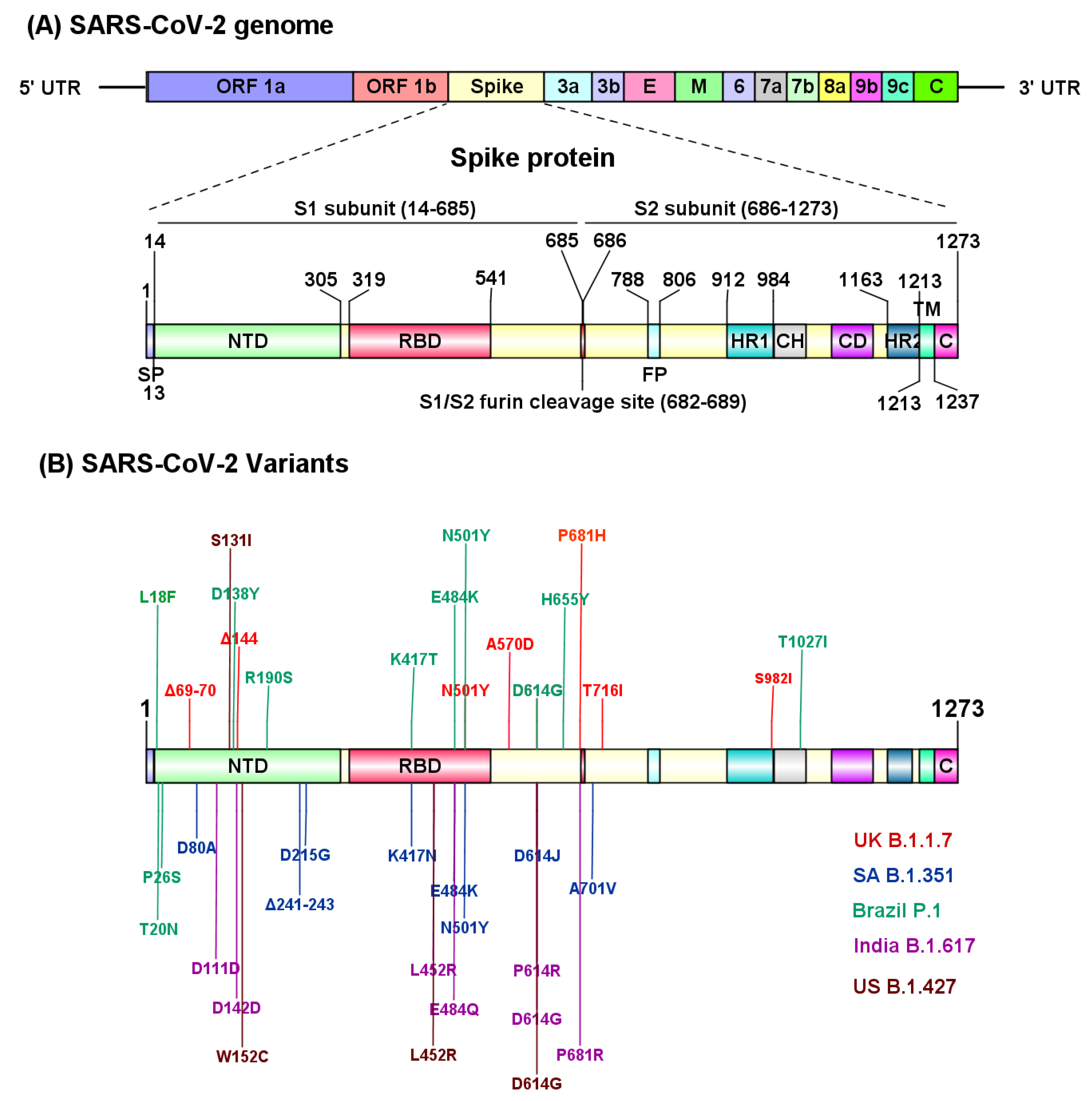 Biomolecules 11 00993 g002