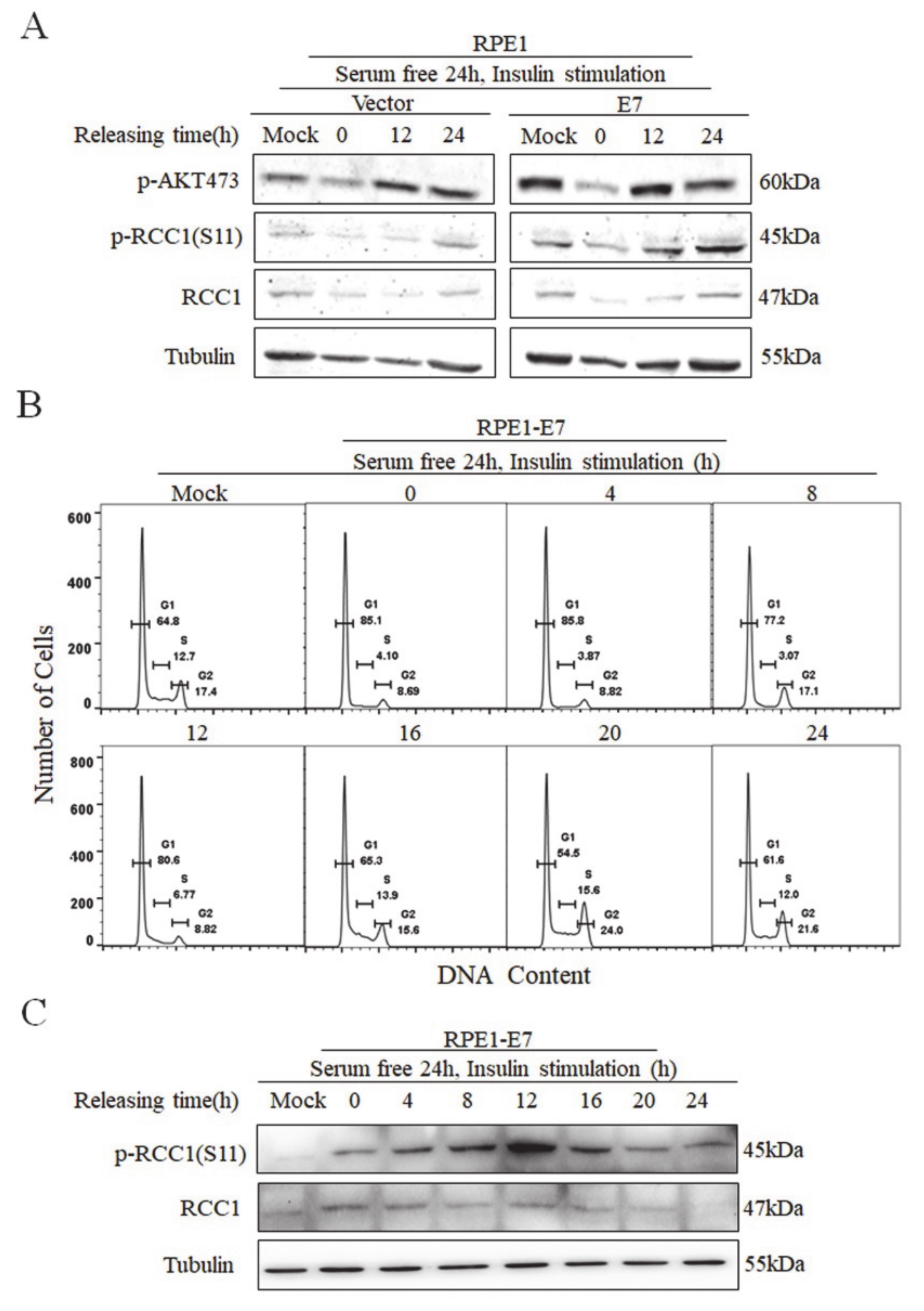 Biomolecules 11 00995 g003 Biomolecules 11 00995 g003