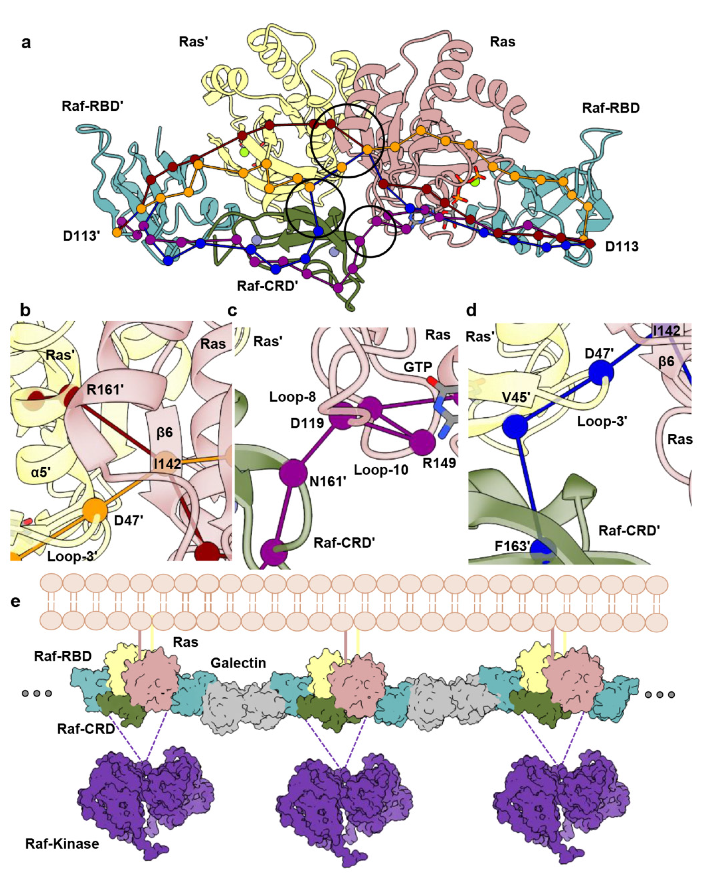 Biomolecules 11 00996 g003 Biomolecules 11 00996 g003