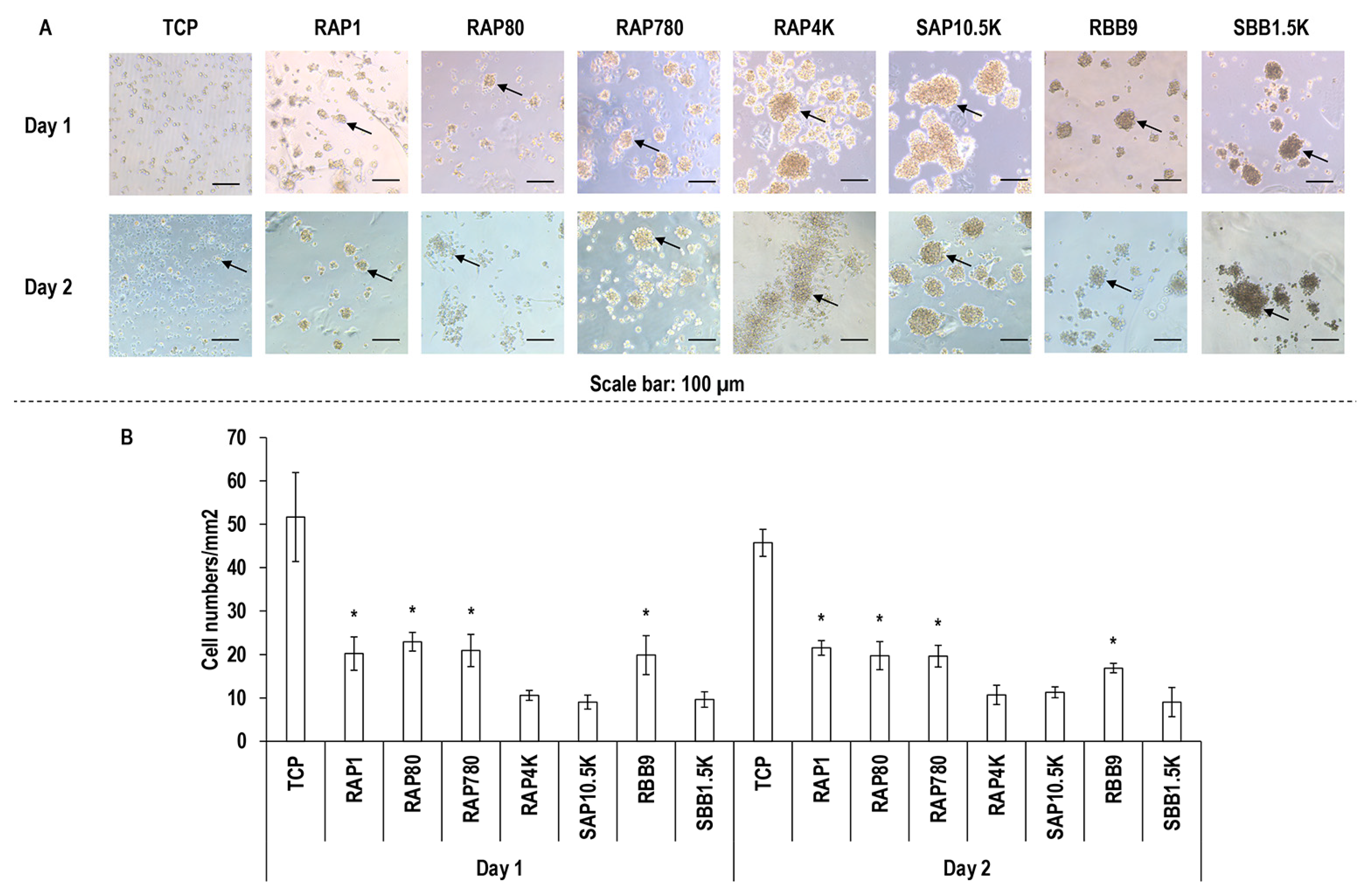 Biomolecules 11 01003 g004