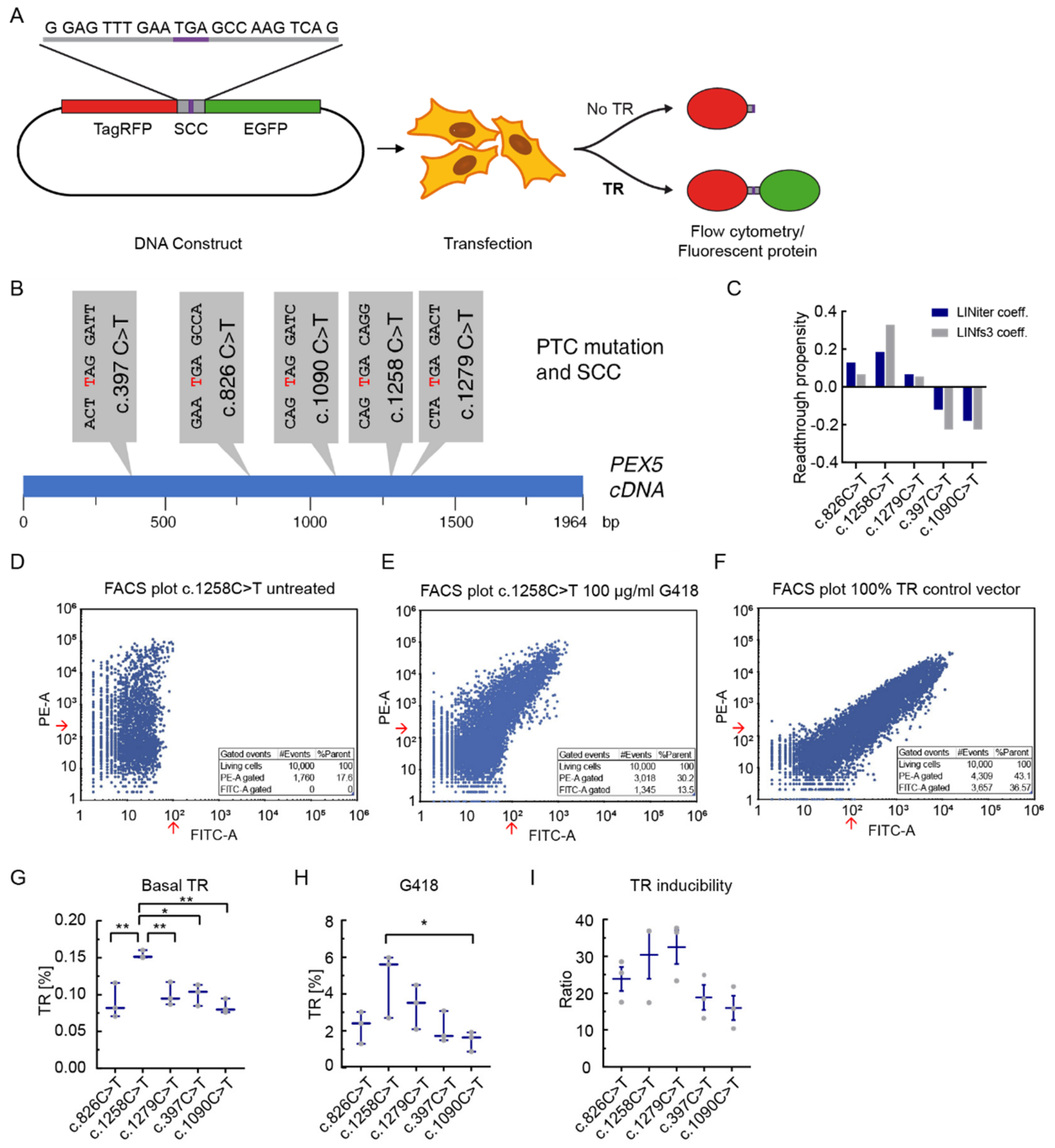Biomolecules 11 01006 g001