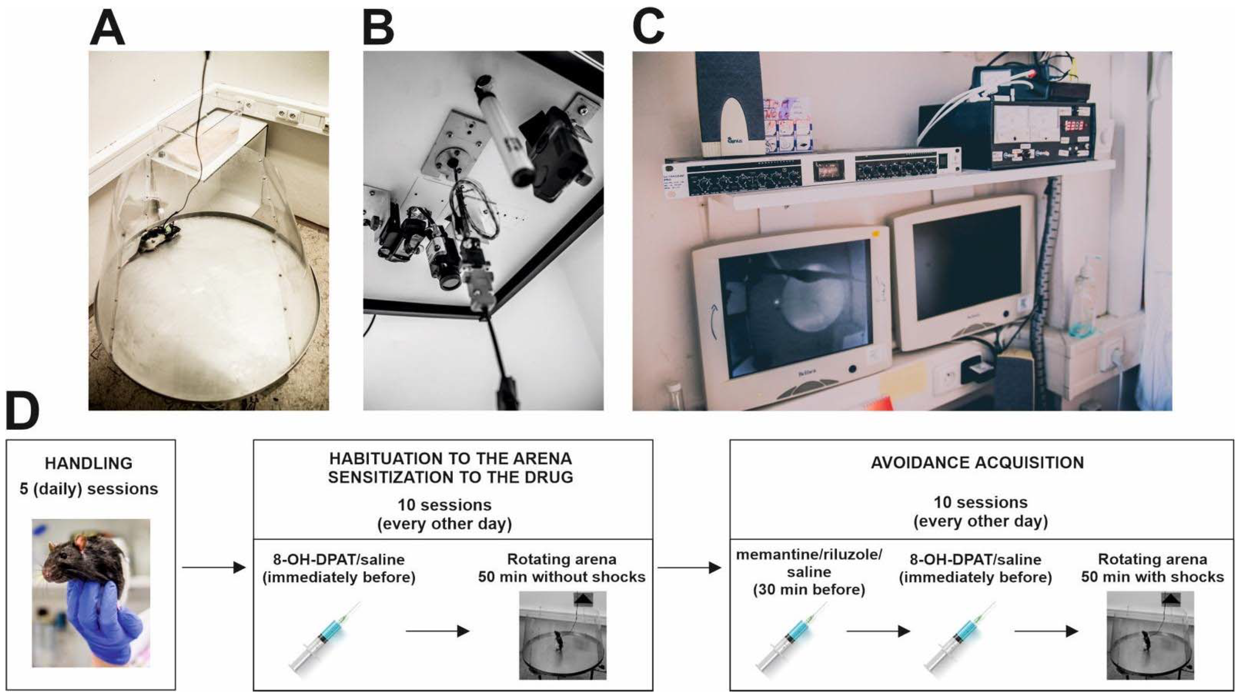 Biomolecules 11 01007 g001 Biomolecules 11 01007 g001