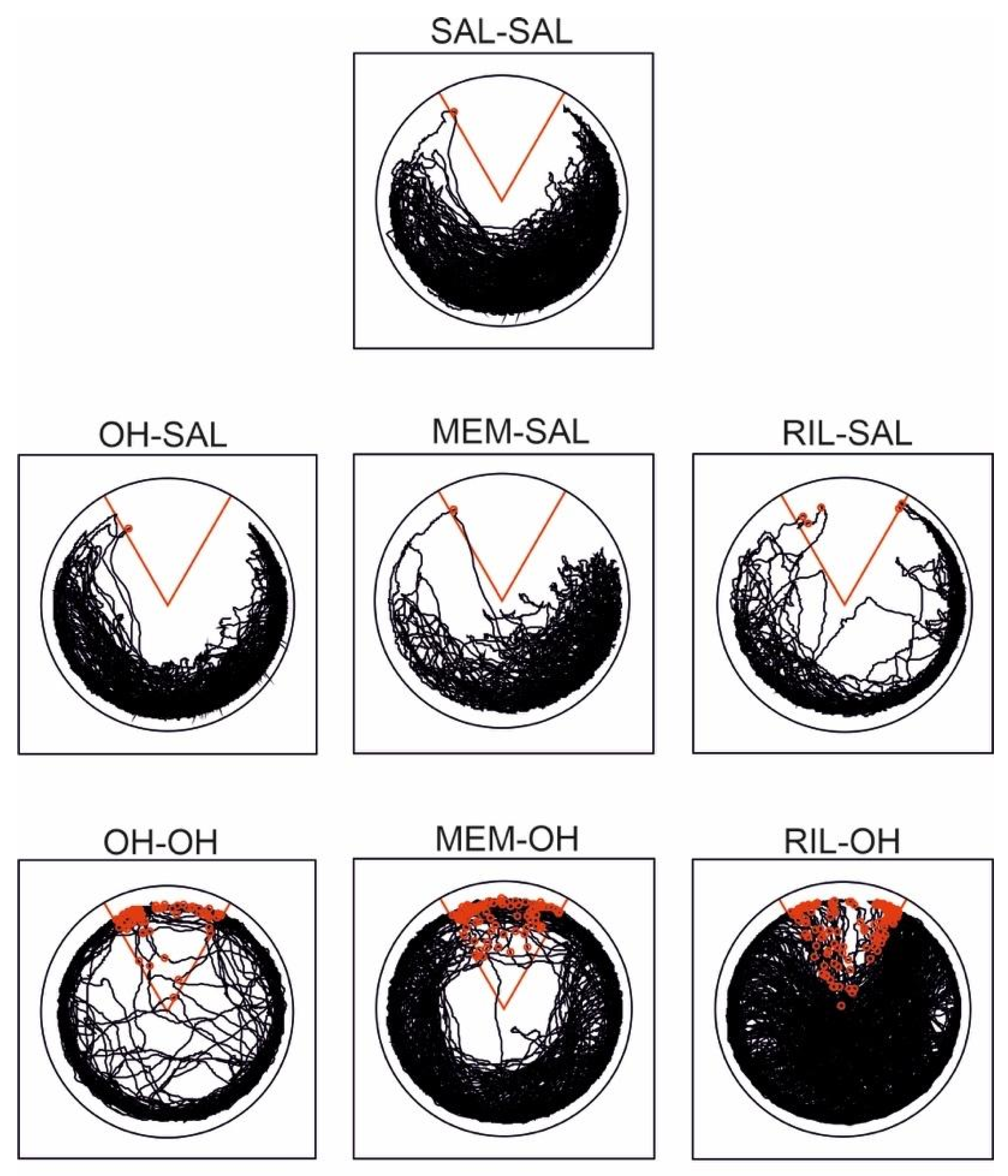 Biomolecules 11 01007 g004 Biomolecules 11 01007 g004