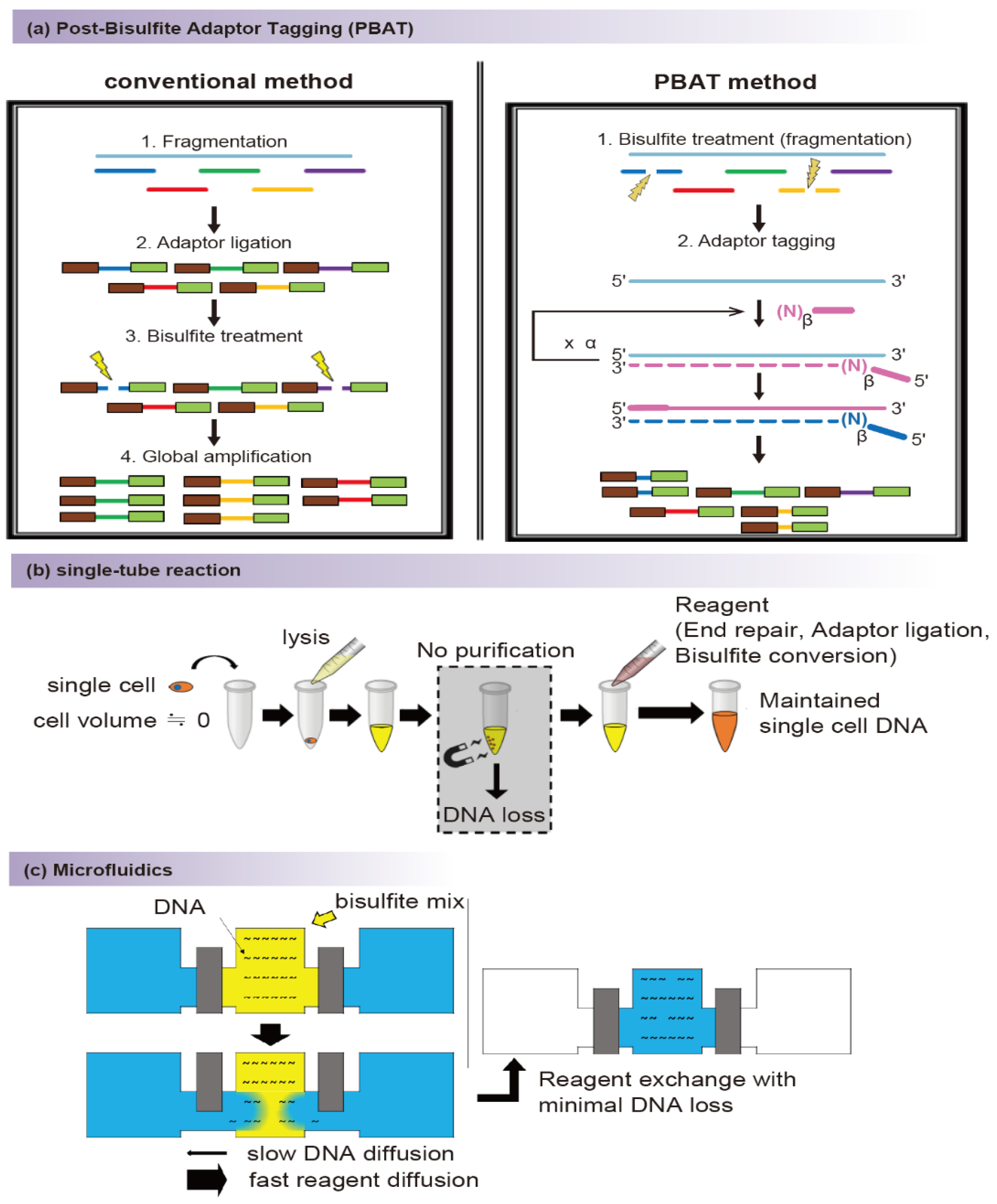 Biomolecules 11 01013 g001 Biomolecules 11 01013 g001