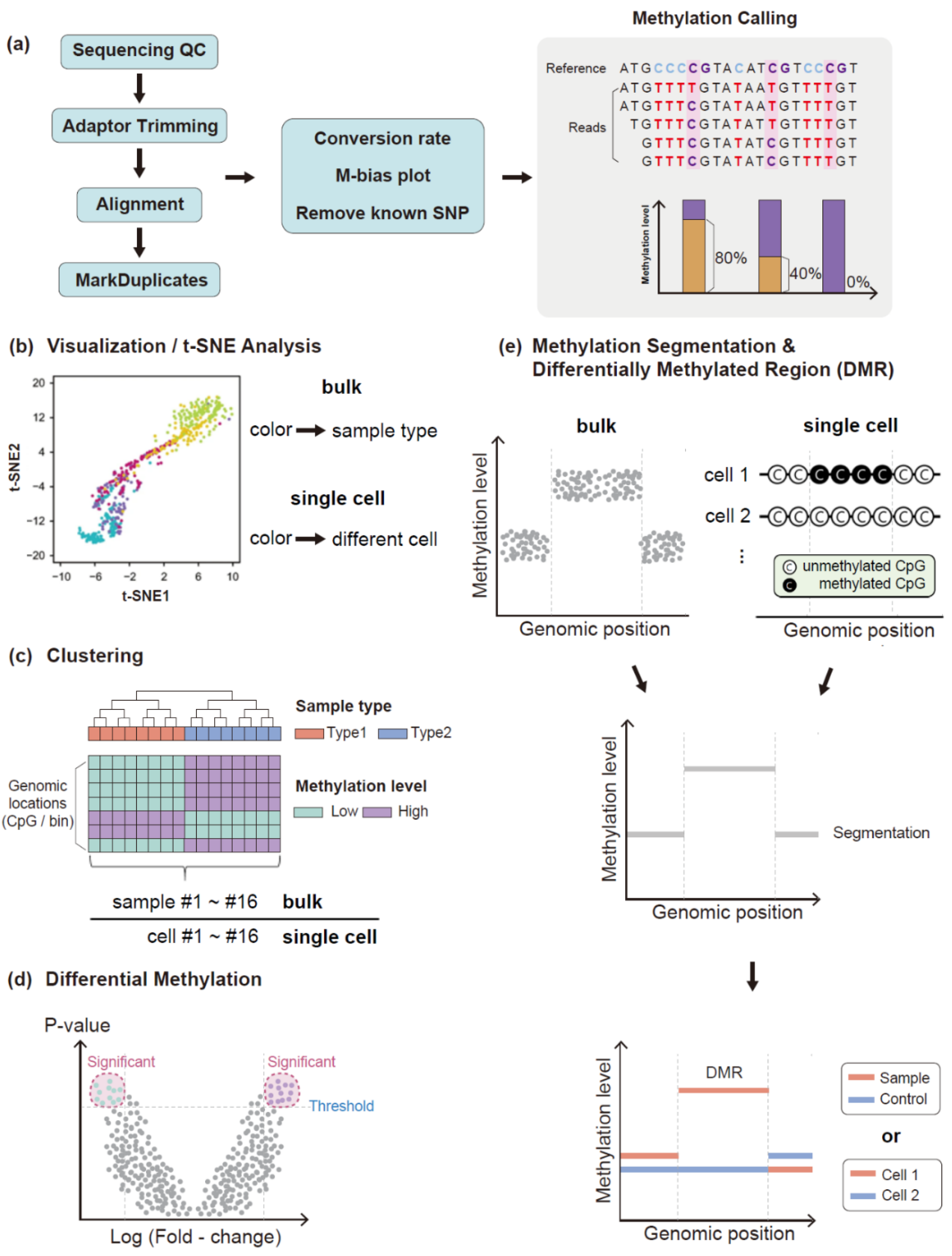 Biomolecules 11 01013 g004 Biomolecules 11 01013 g004
