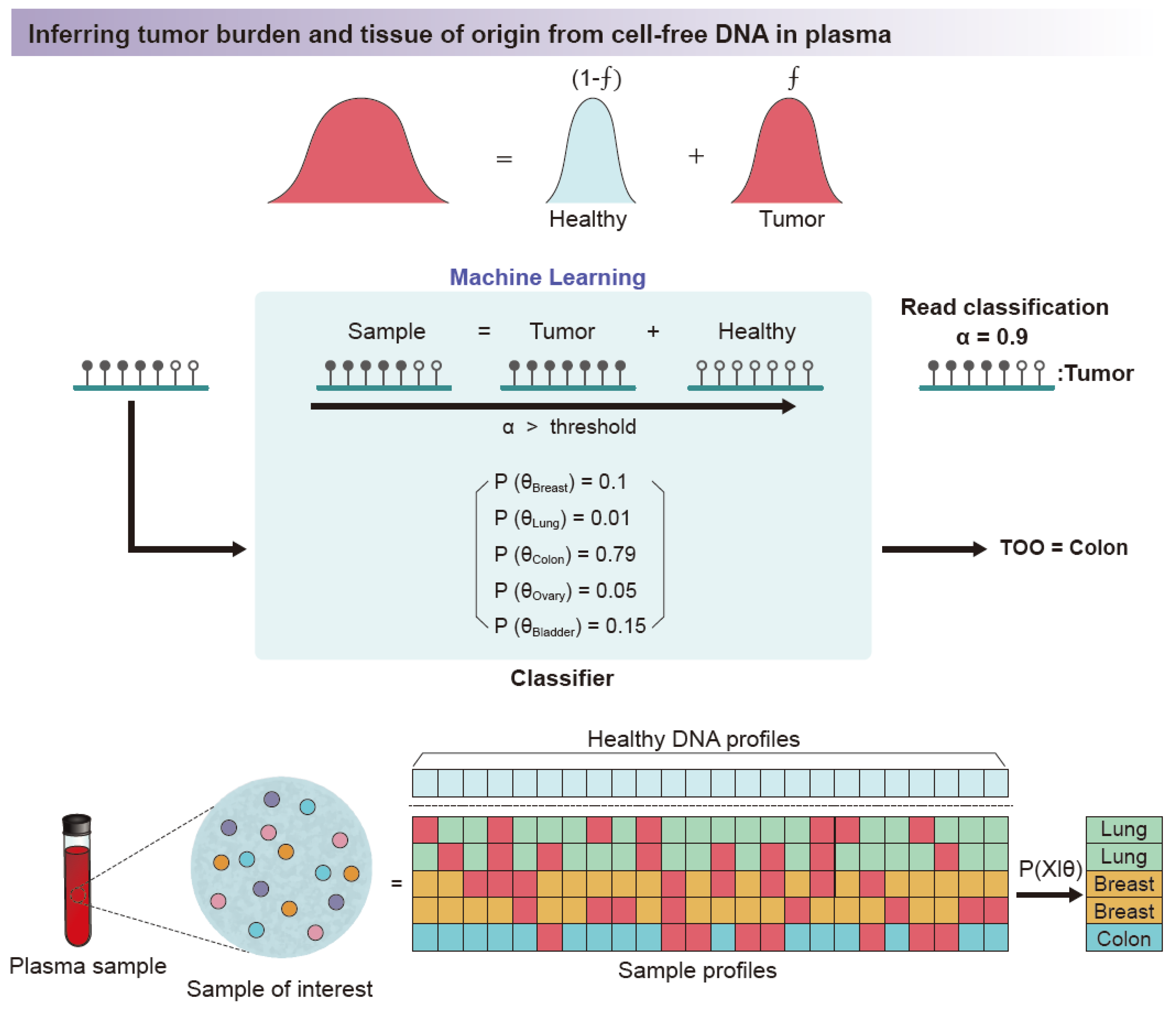 Biomolecules 11 01013 g006 Biomolecules 11 01013 g006