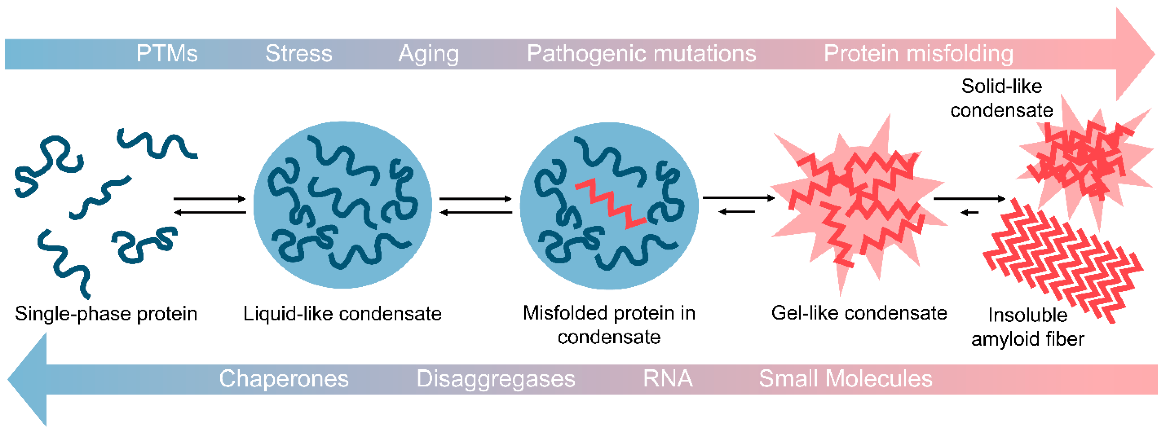 Biomolecules 11 01014 g001