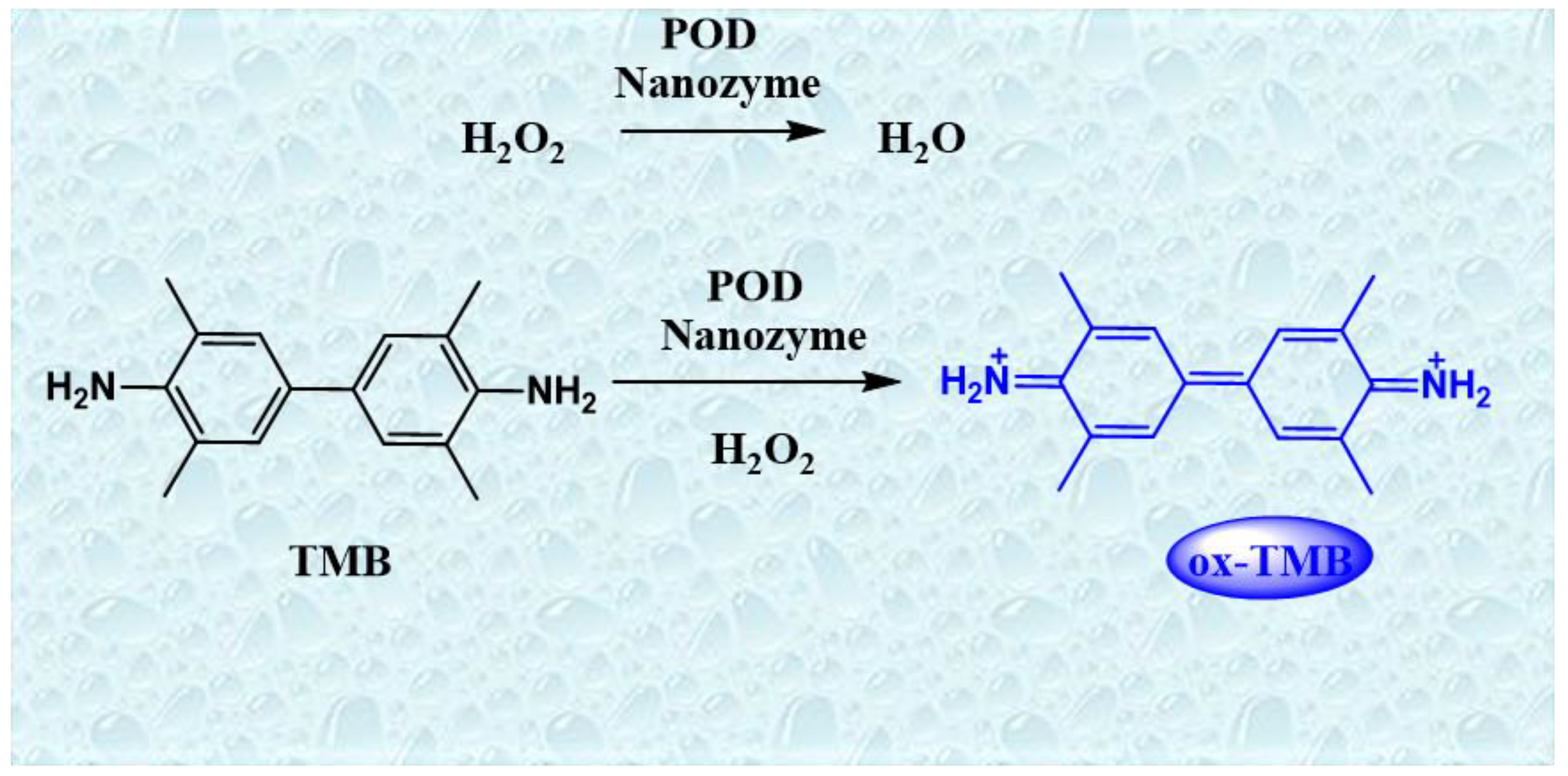 Biomolecules 11 01015 g002