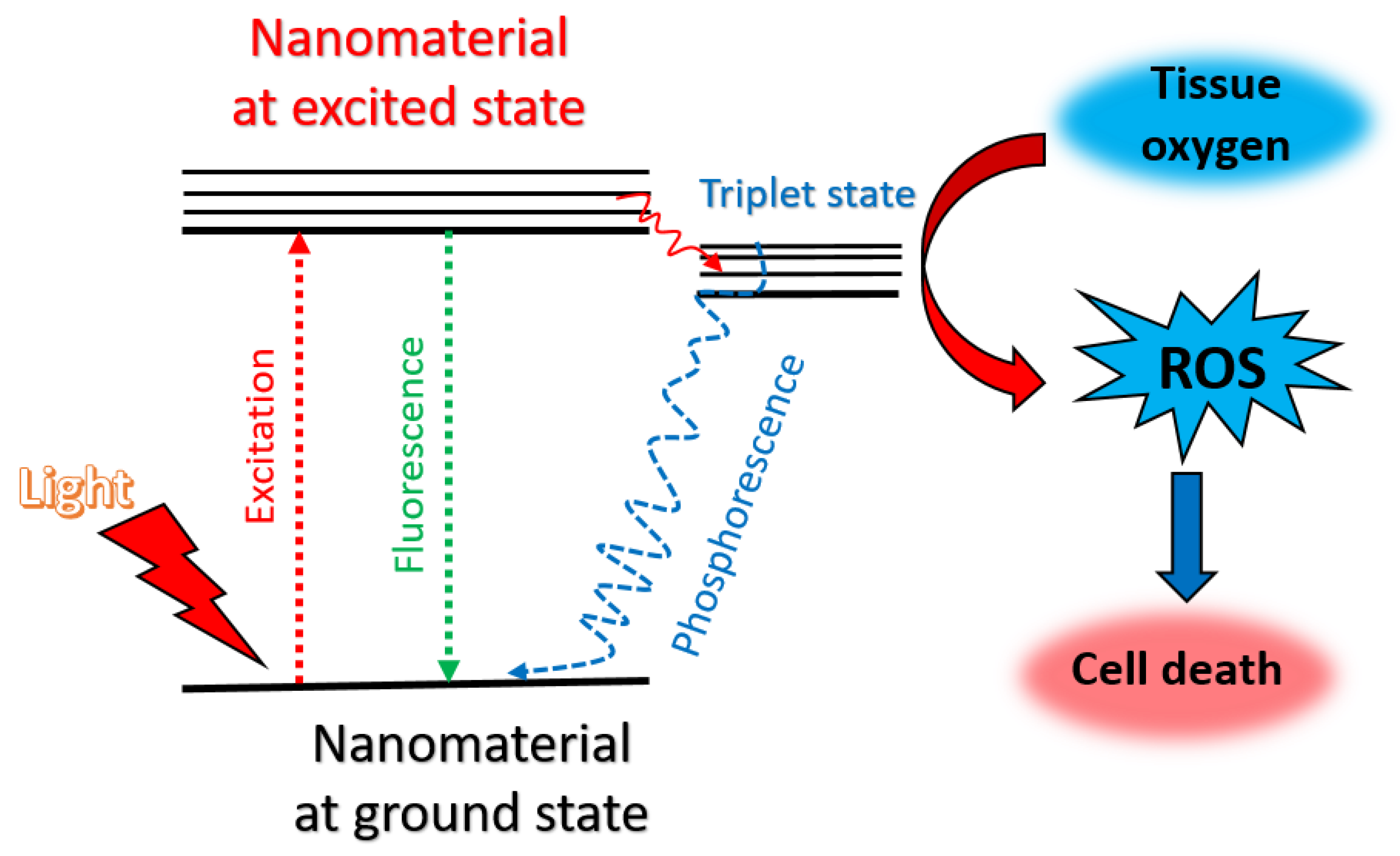 Biomolecules 11 01015 g003